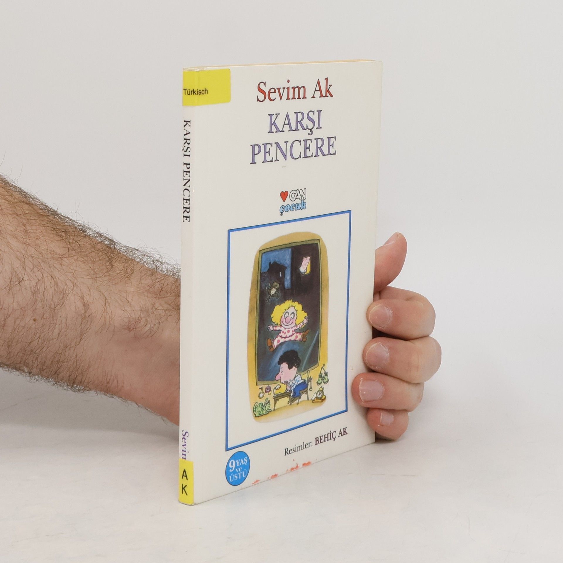 Sevim Ak Karşı pencere