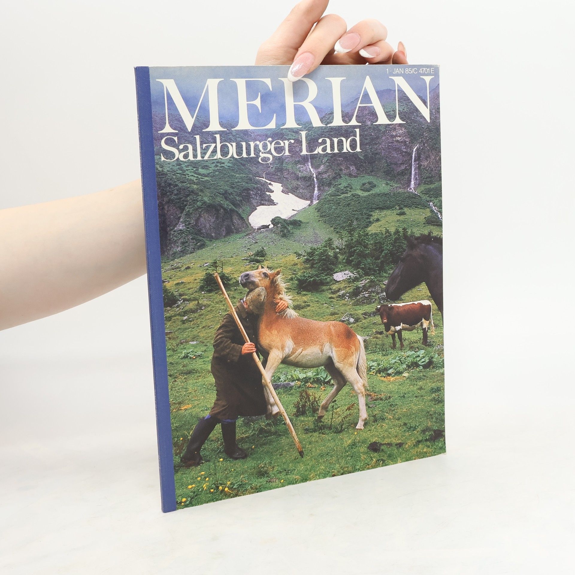 Various authors Salzburger Land