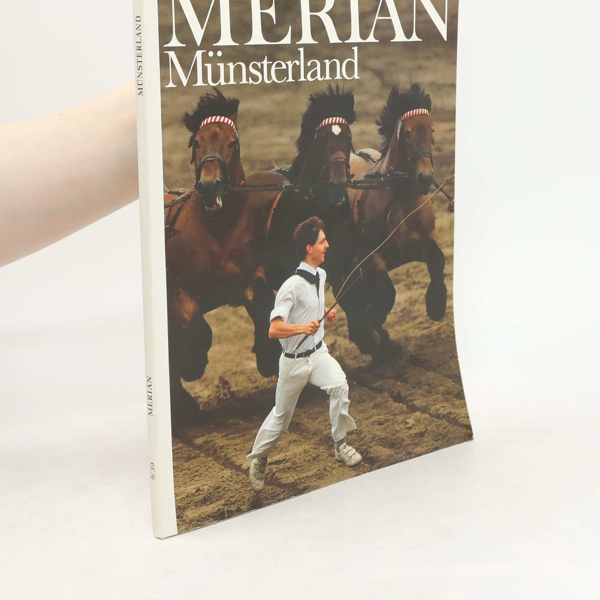 Various authors Münsterland