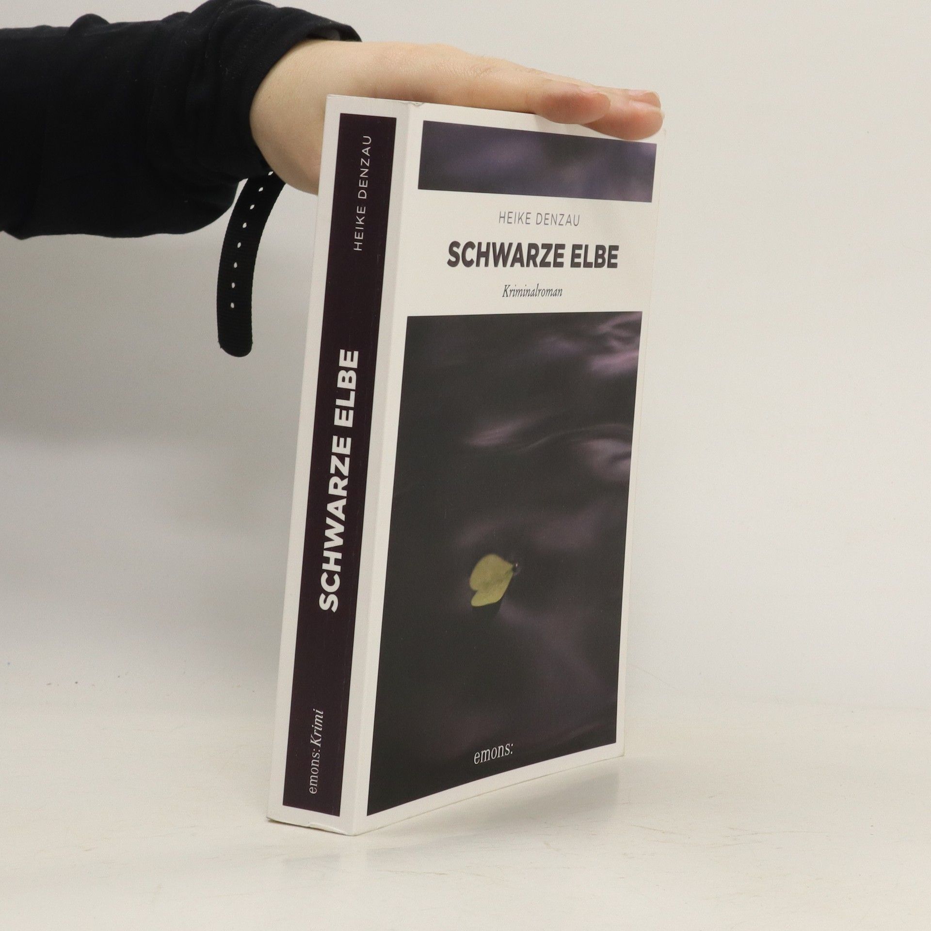 Heike Denzau Schwarze Elbe