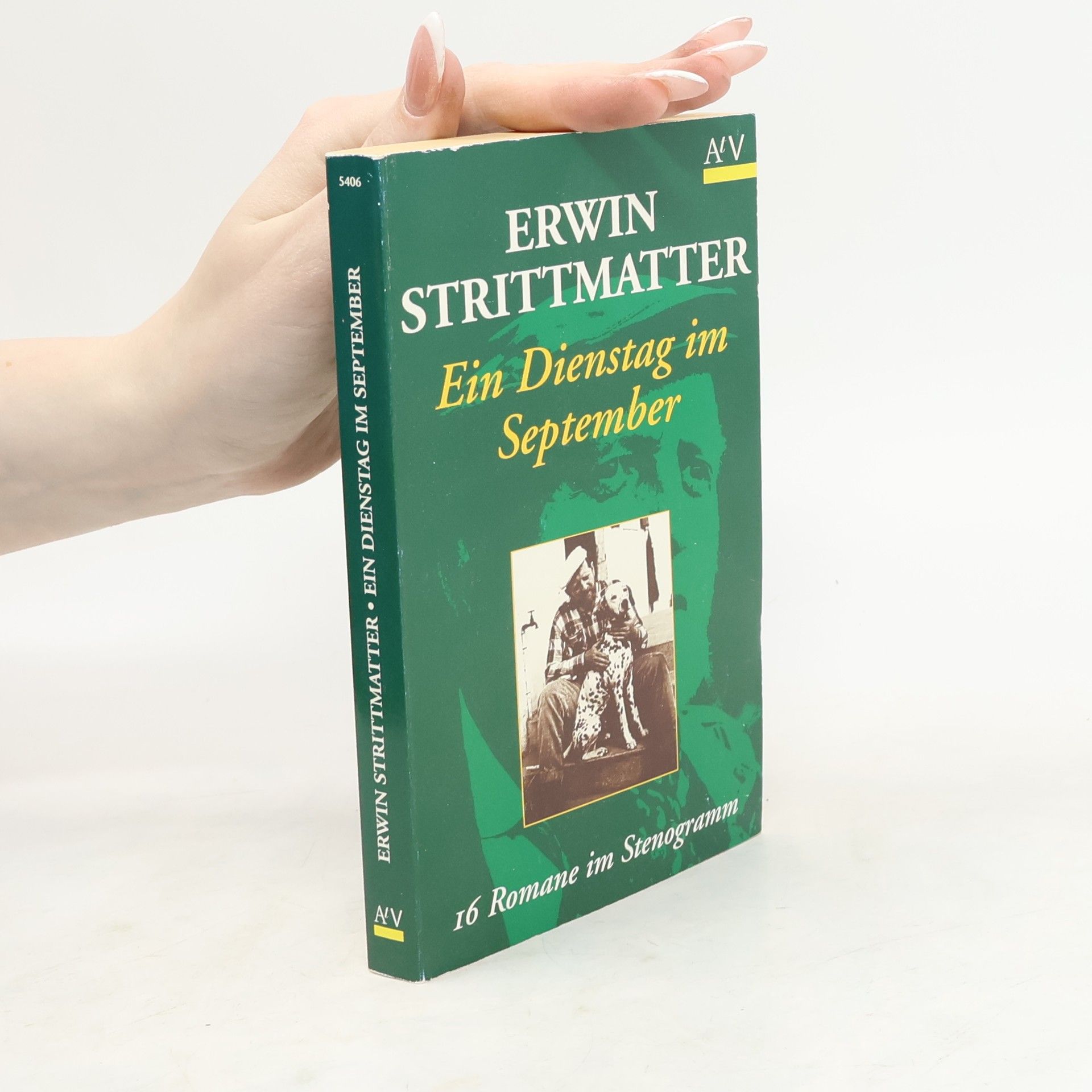 Erwin Strittmatter Ein Dienstag im September : 16 Romane im Stenogramm