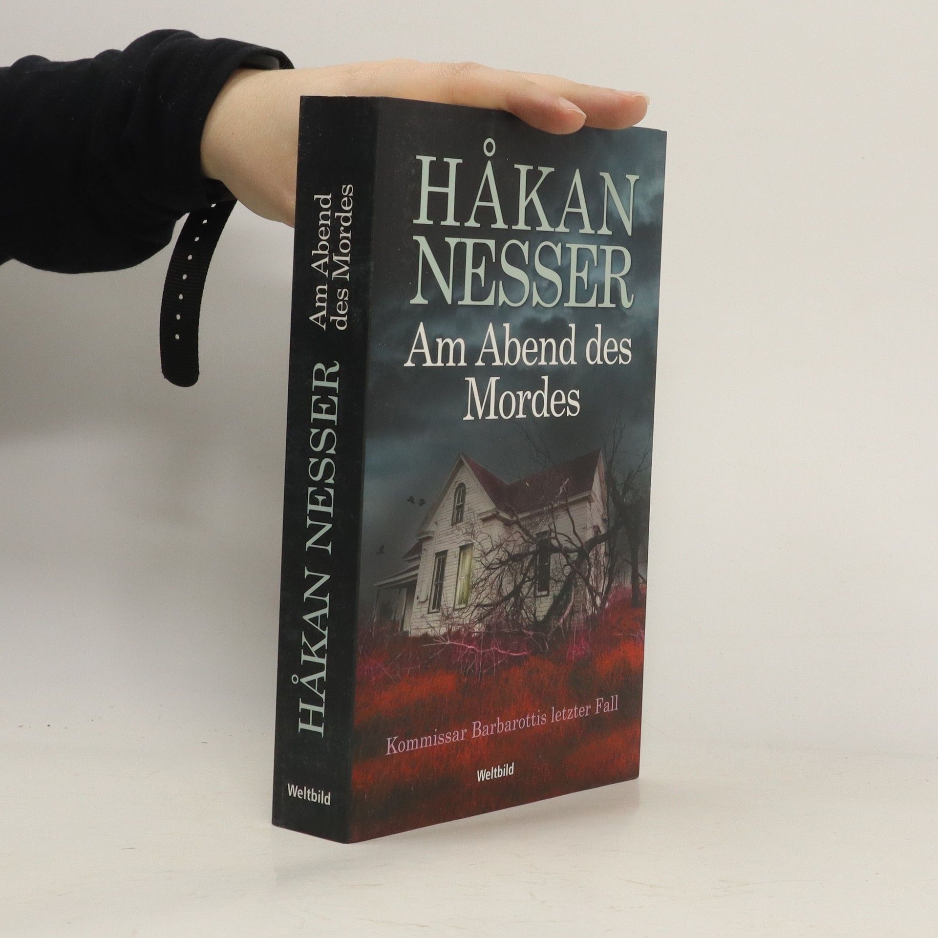 Hakan Nesser Am Abend des Mordes
