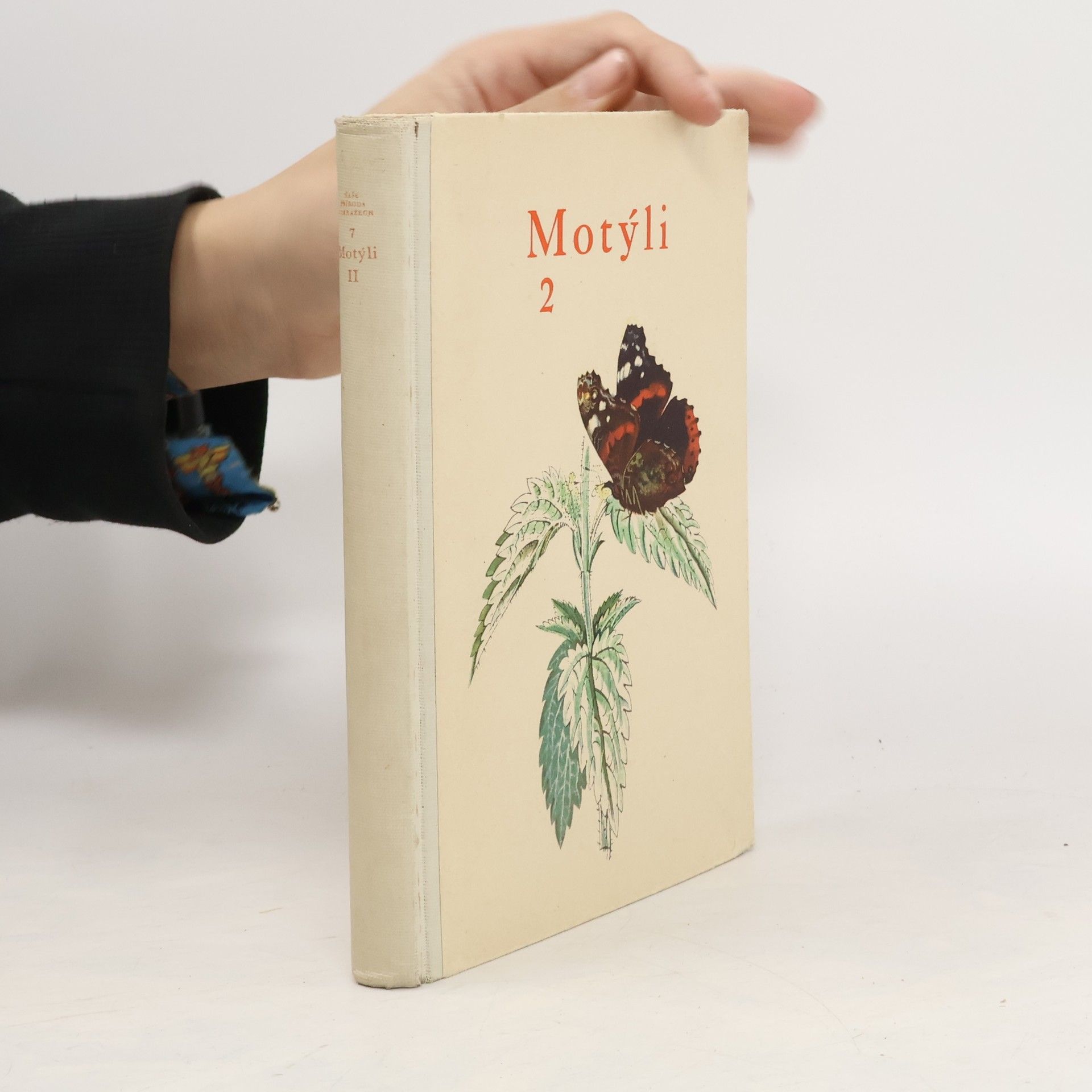 Rudolf Schwarz Motýli 2