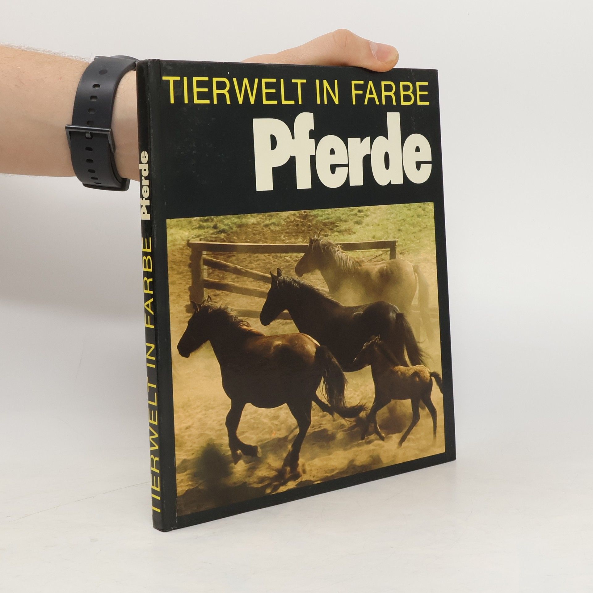 Erich Gratzenberger Tierwelt in Farbe. Pferde