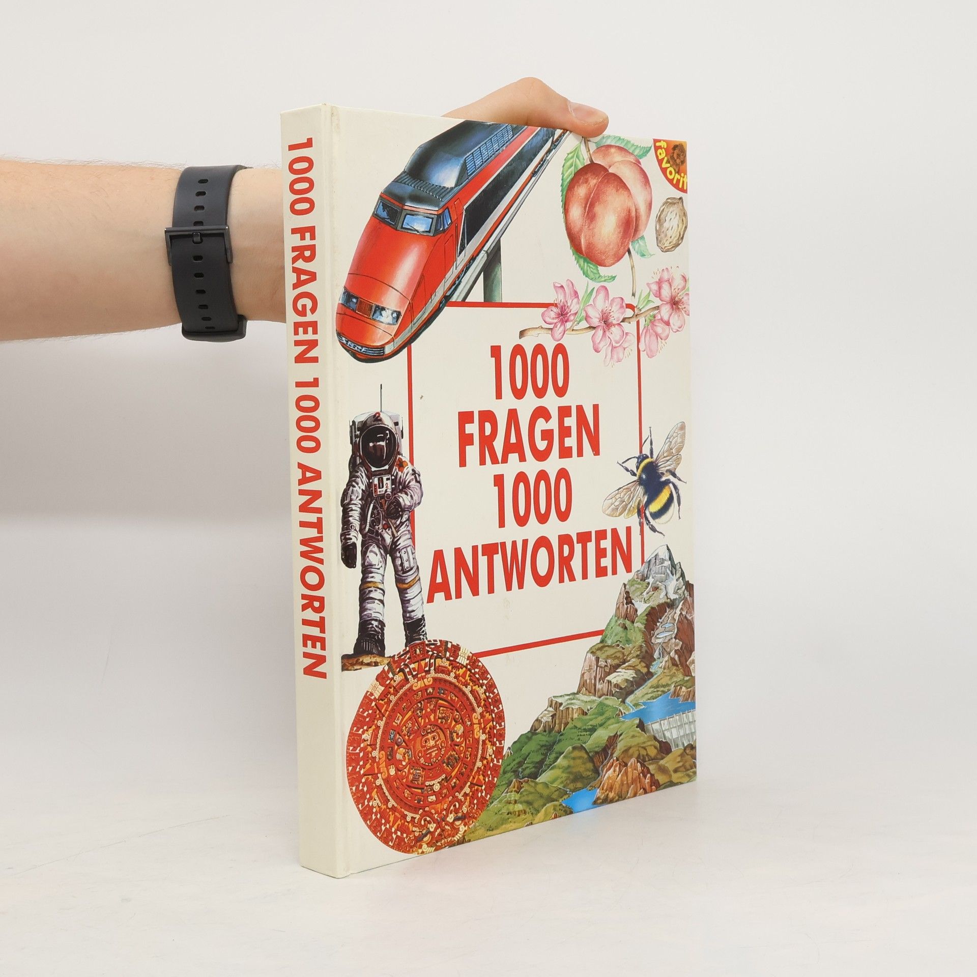 Laura Casnici 1000 Fragen, 1000 Antworten
