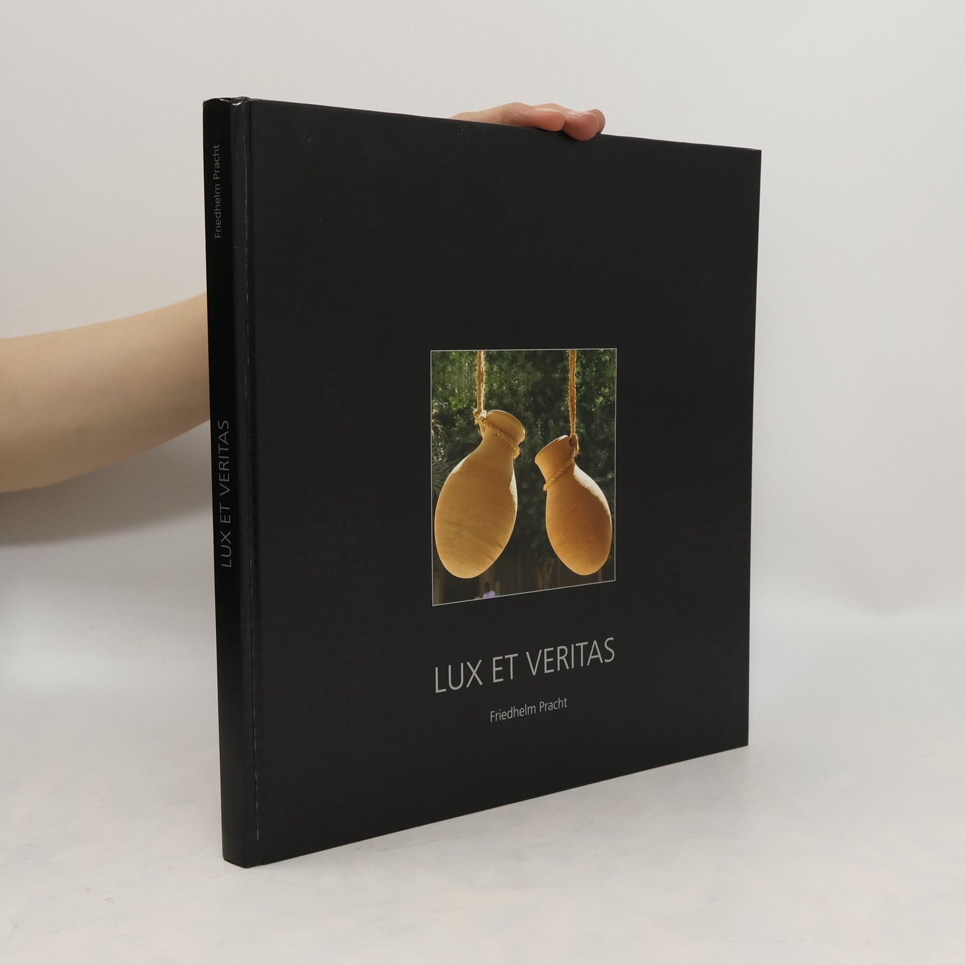 Friedhelm Pracht Lux et Veritas