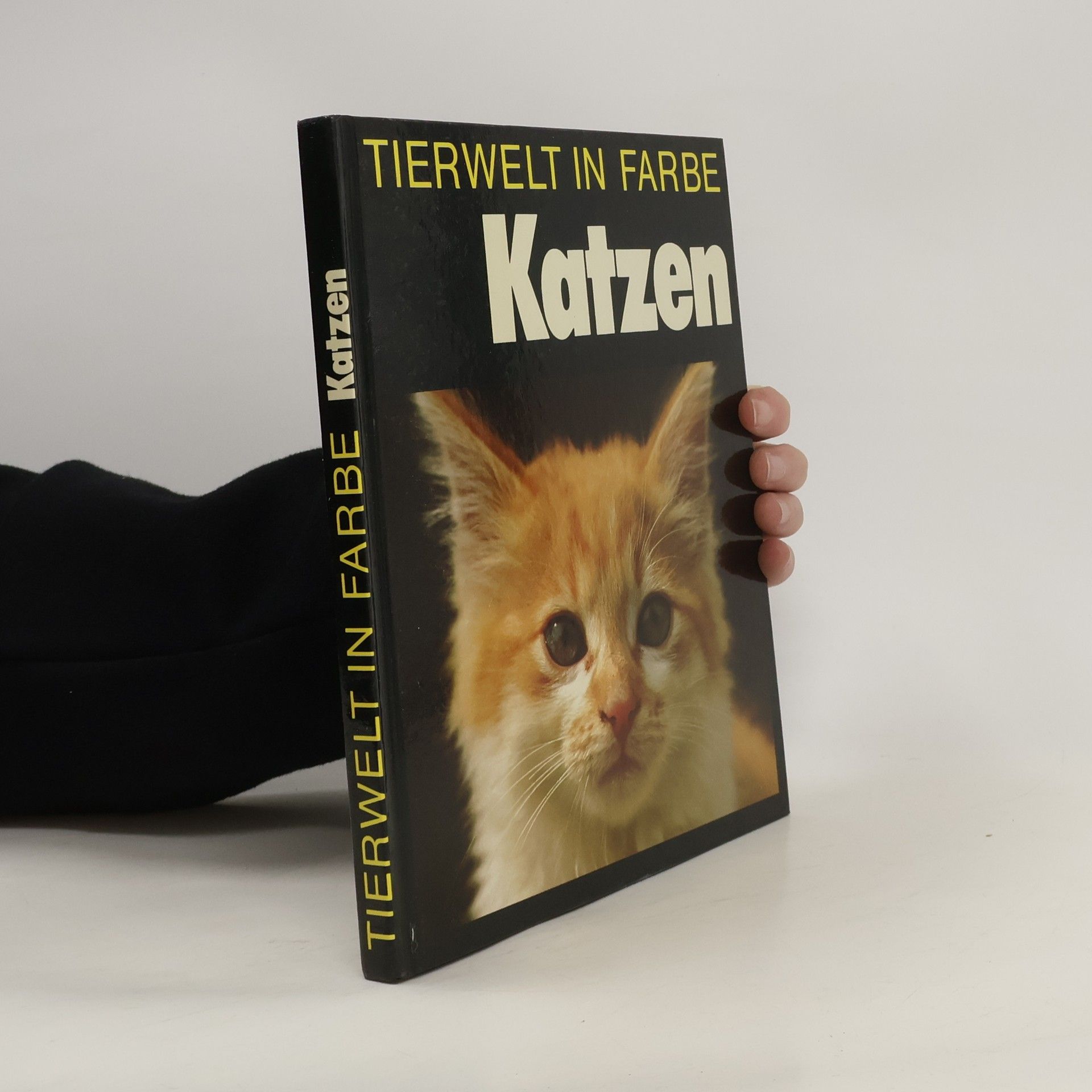Helmut Pisinger Tierwelt in Farbe: Katzen