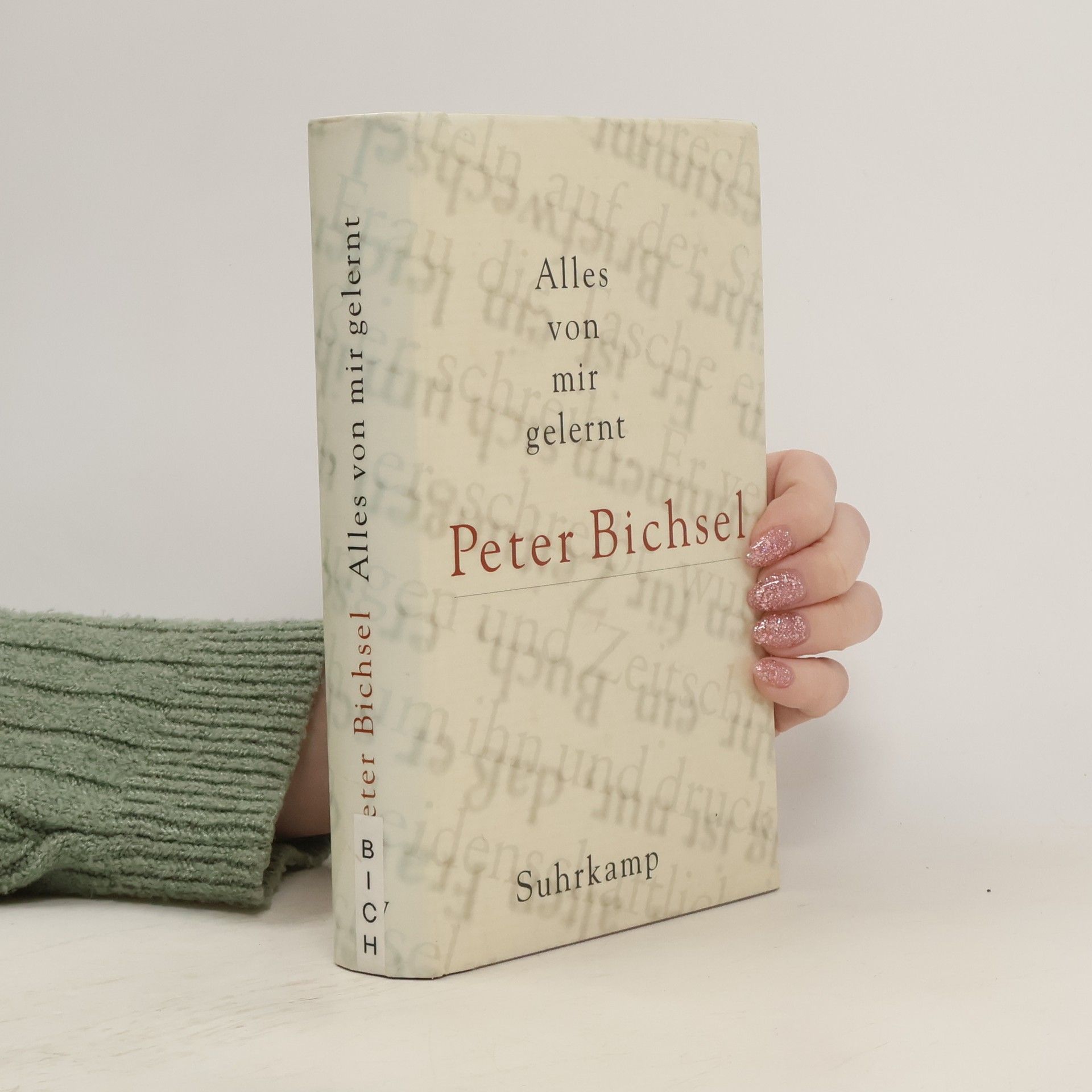 Peter Bichsel Alles von mir gelernt. Kolumnen 1995–1999