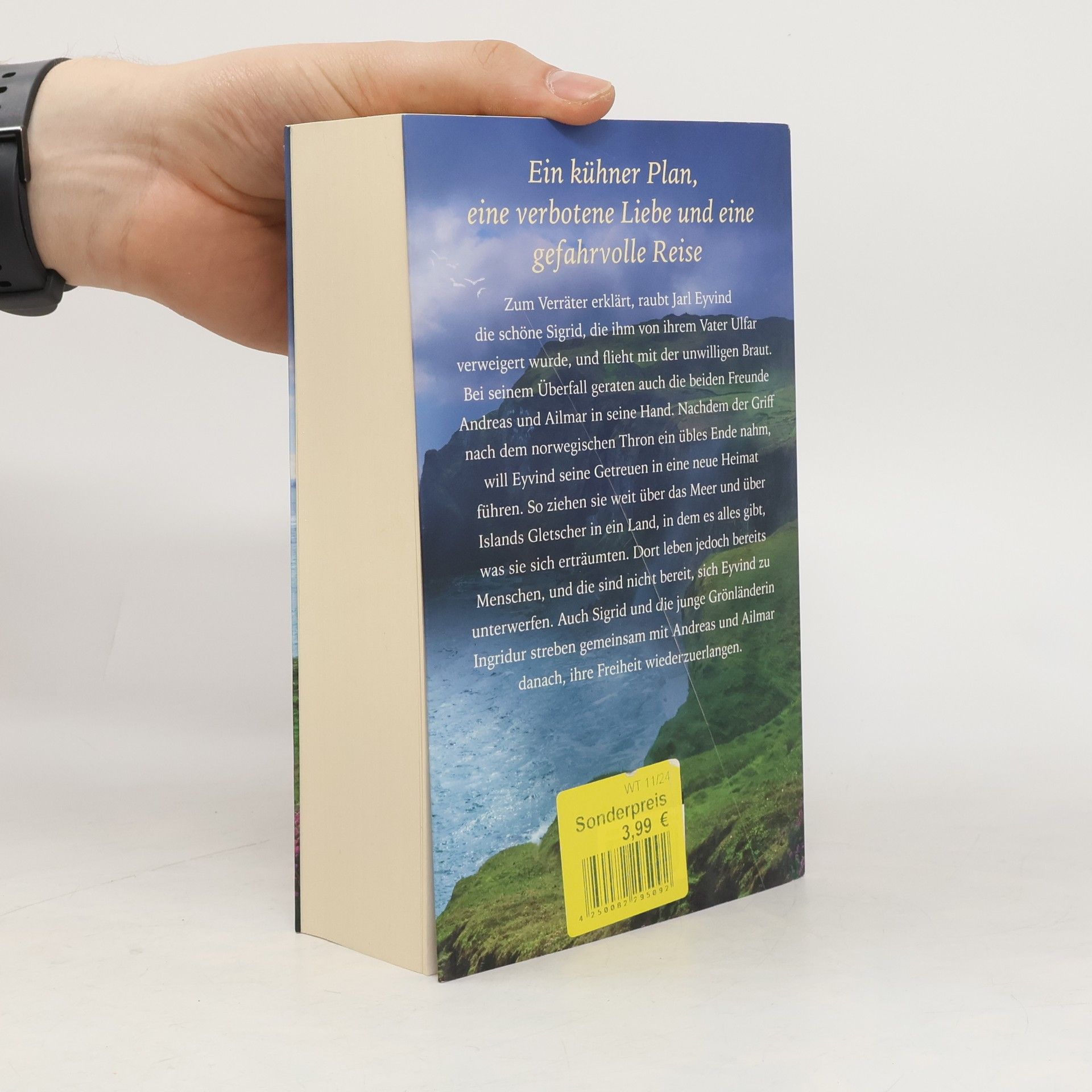 Iny Lorentz Die Saga von Vinland