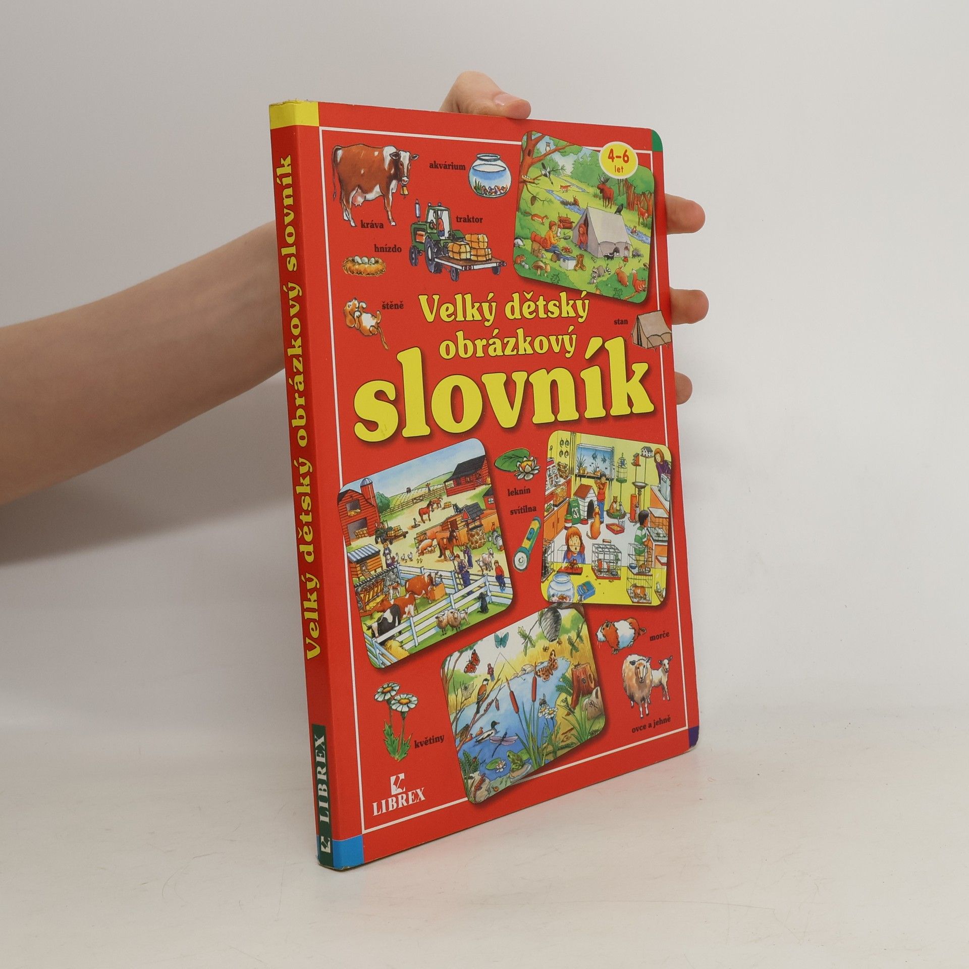 Collectif d'auteurs Velký dětský obrázkový slovník