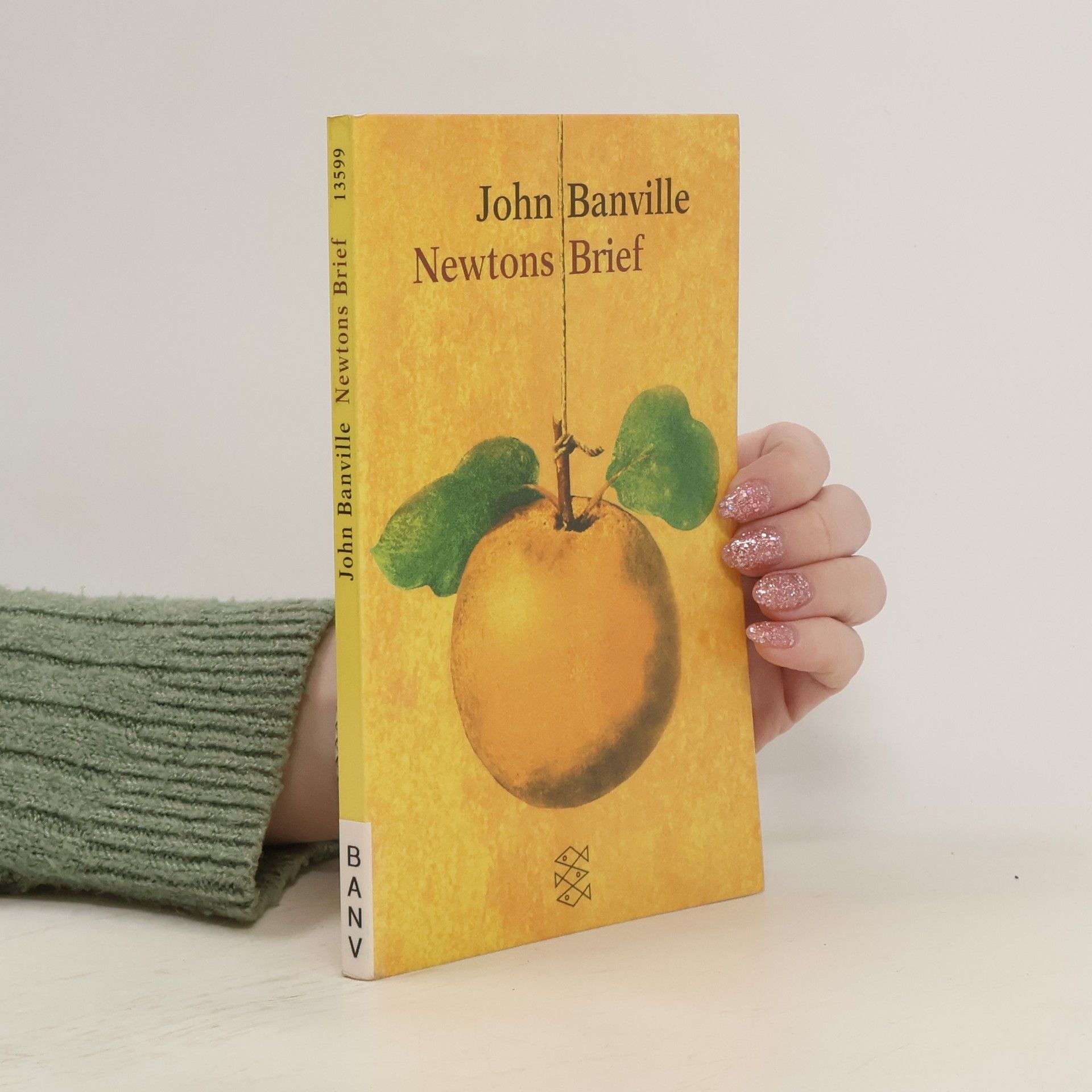 John Banville Newtons Brief