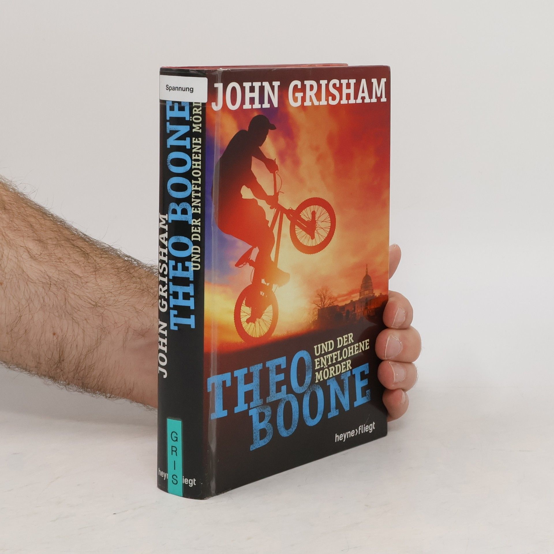 John Grisham Theo Boone - der entflohene Mörder