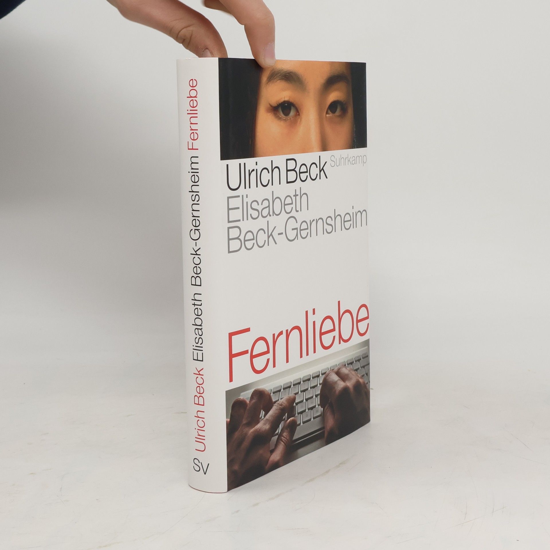 Ulrich Beck Fernliebe