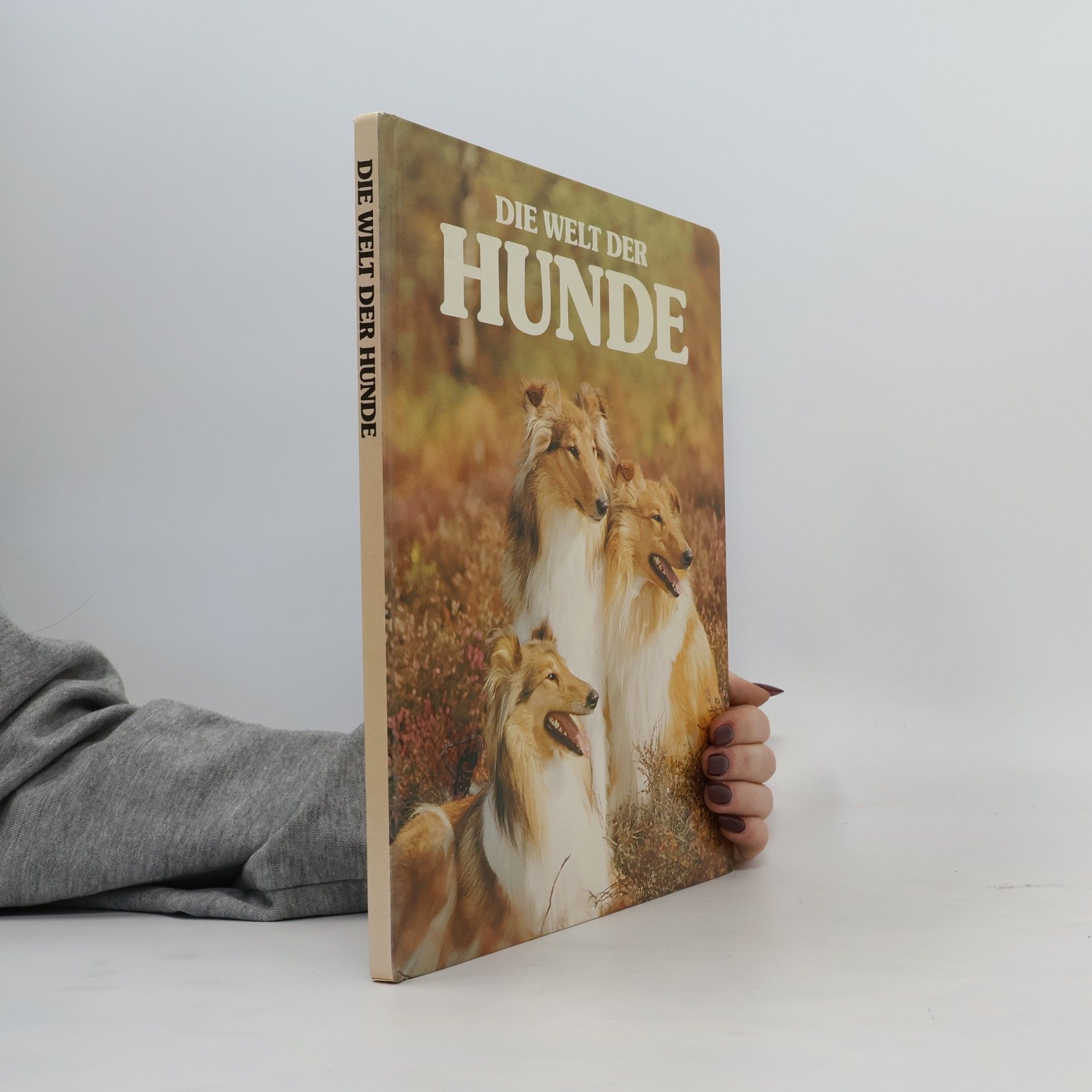 Autorenkollektiv Die Welt der Hunde