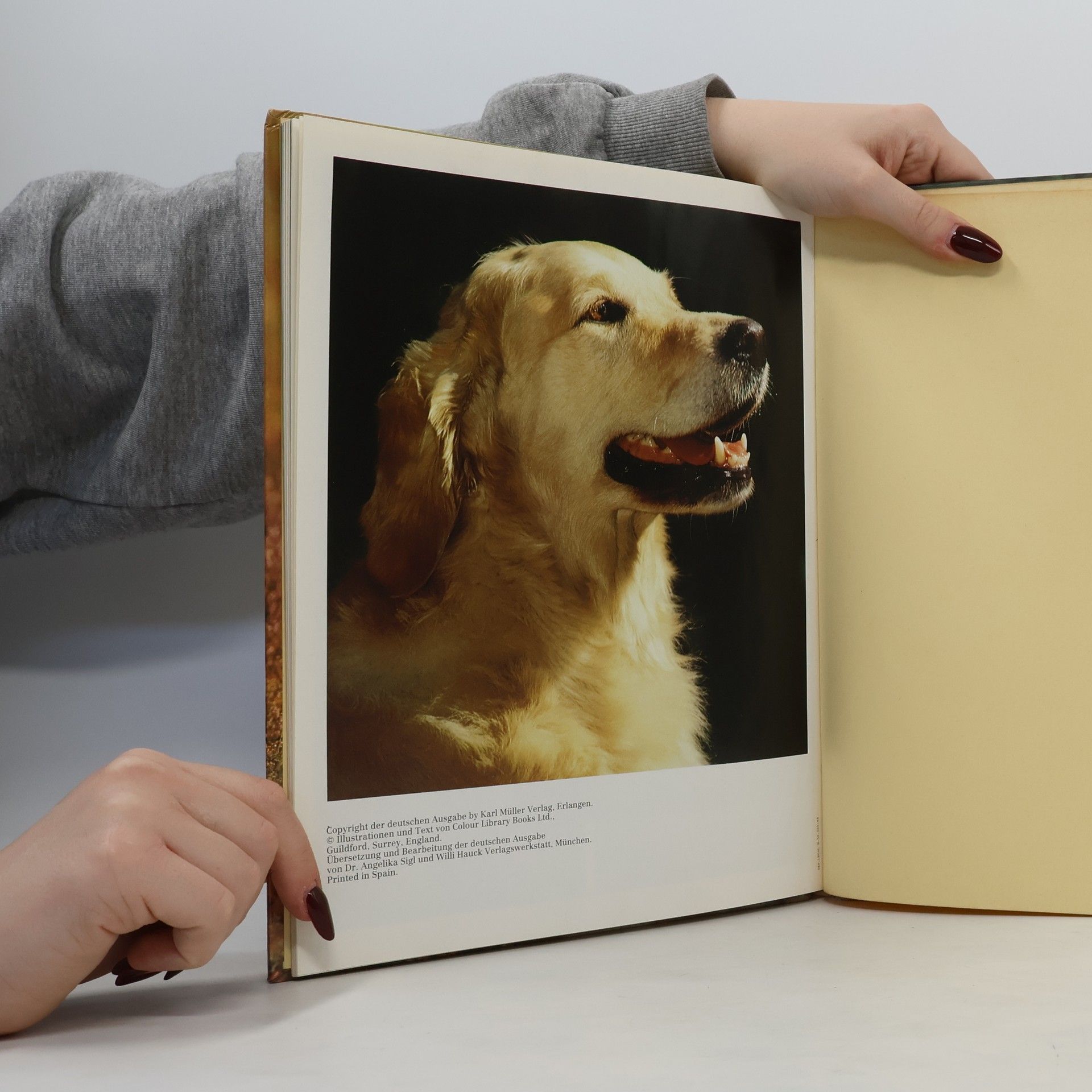 Autorenkollektiv Die Welt der Hunde