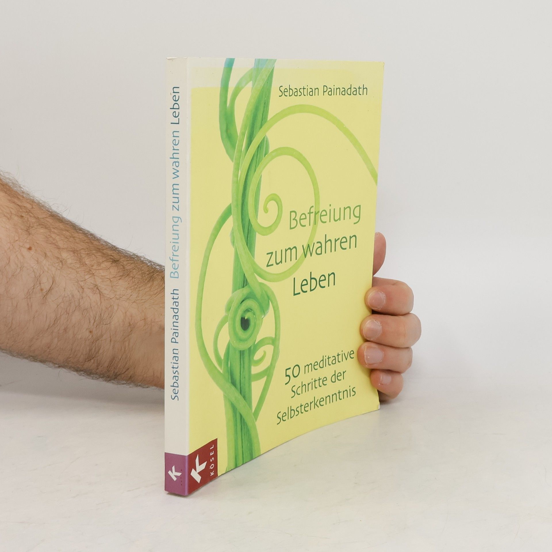 Sebastian Painadath Befreiung zu wahrem Leben