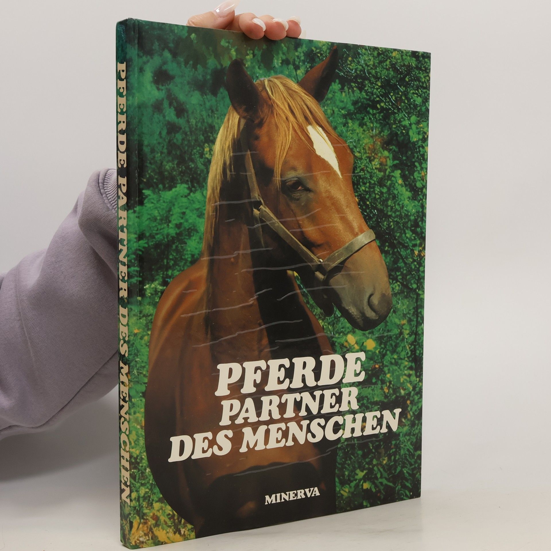 Philippe de Wailly Pferde. Partner des Menschen