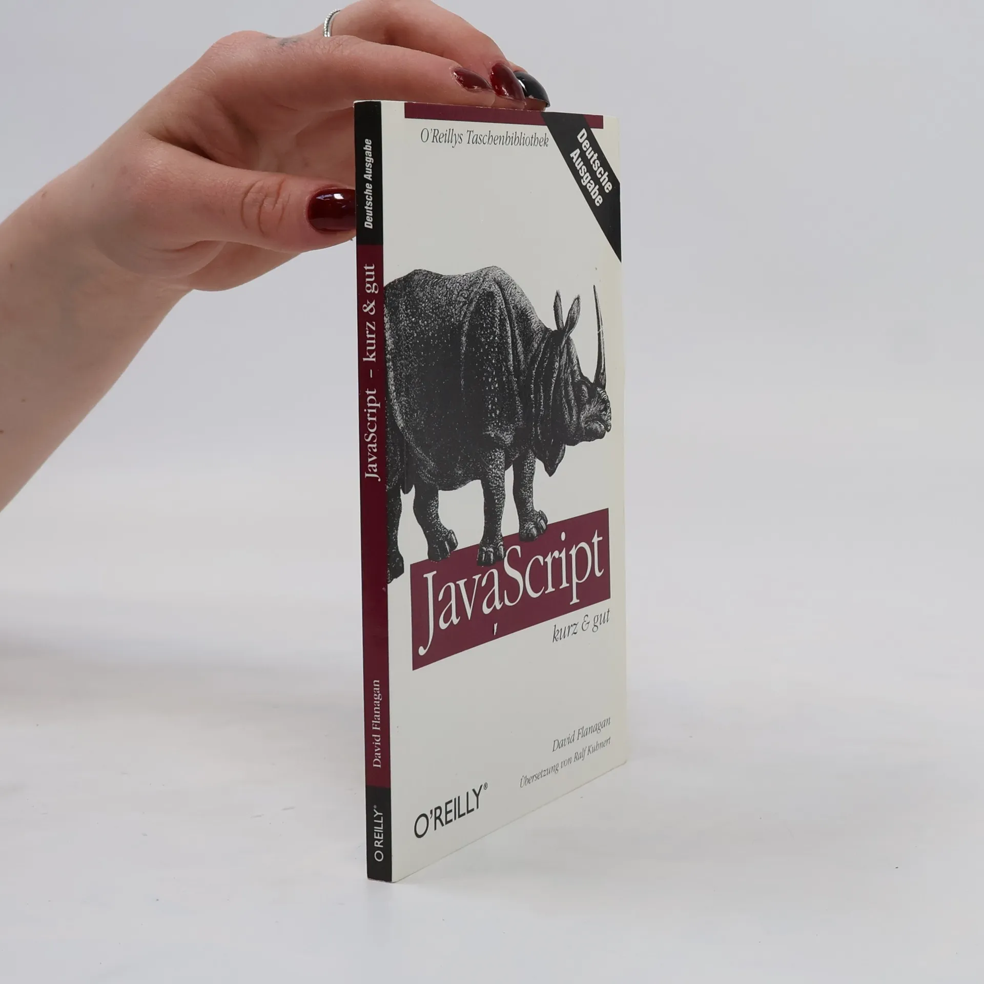 JavaScript kurz & gut | Kniha | David Flanagan | DE
