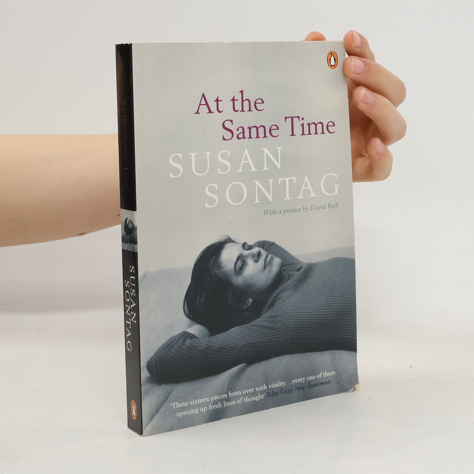 Susan Sontag At the Same Time