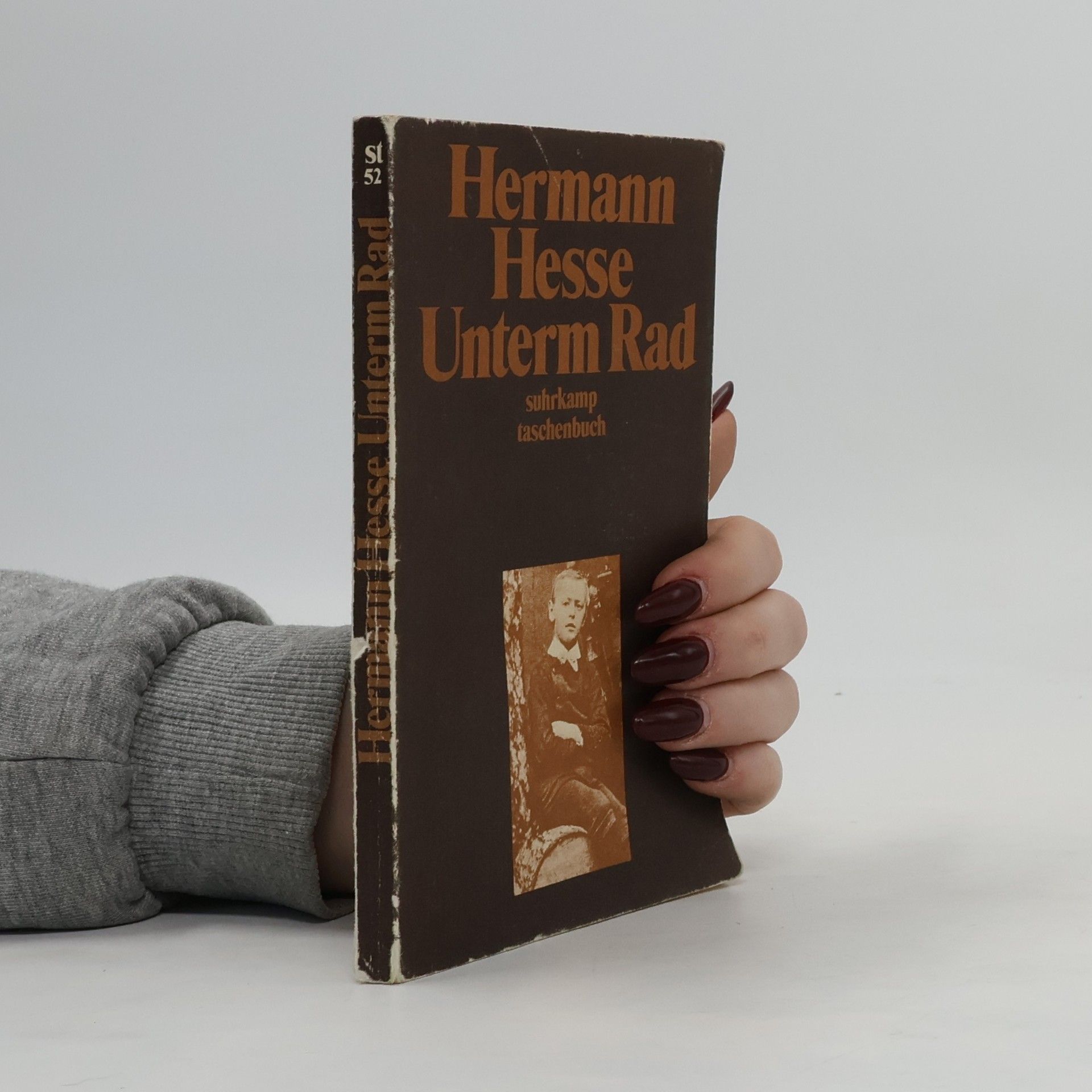 Hermann Hesse Unterm Rad