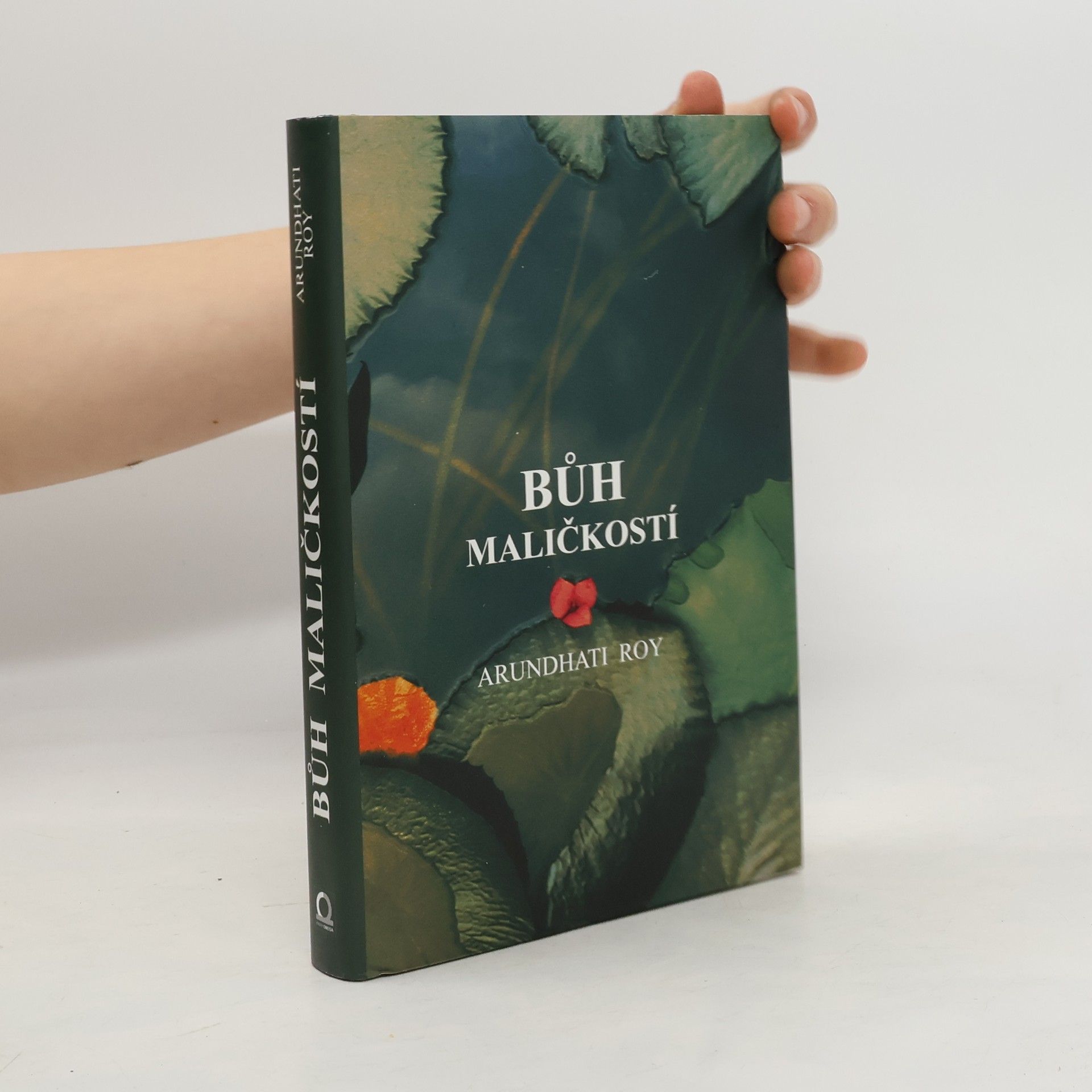 Arundhati Roy Bůh maličkostí