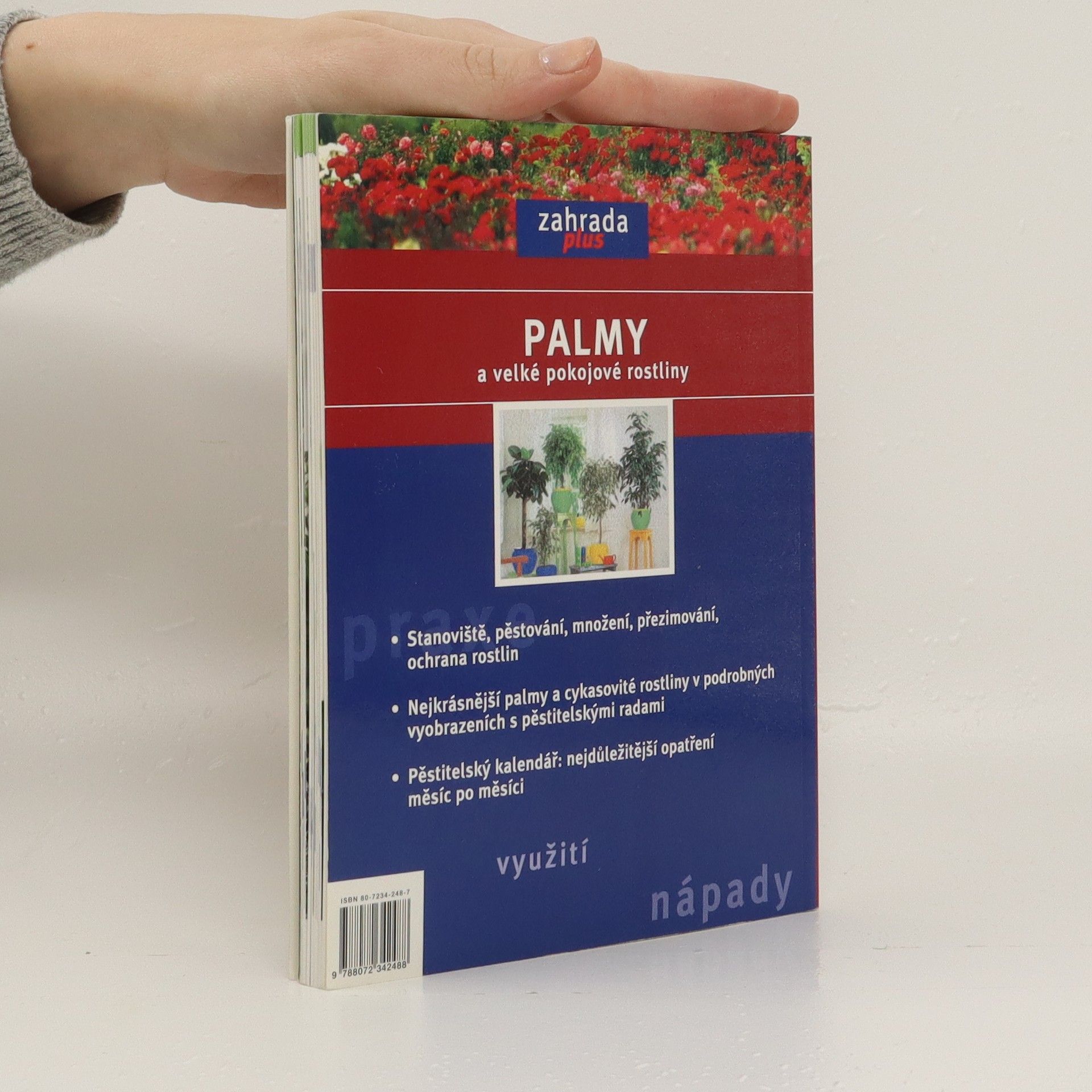 Elisabeth Manke Palmy a velké pokojové rostliny: Umístění, péče, množení