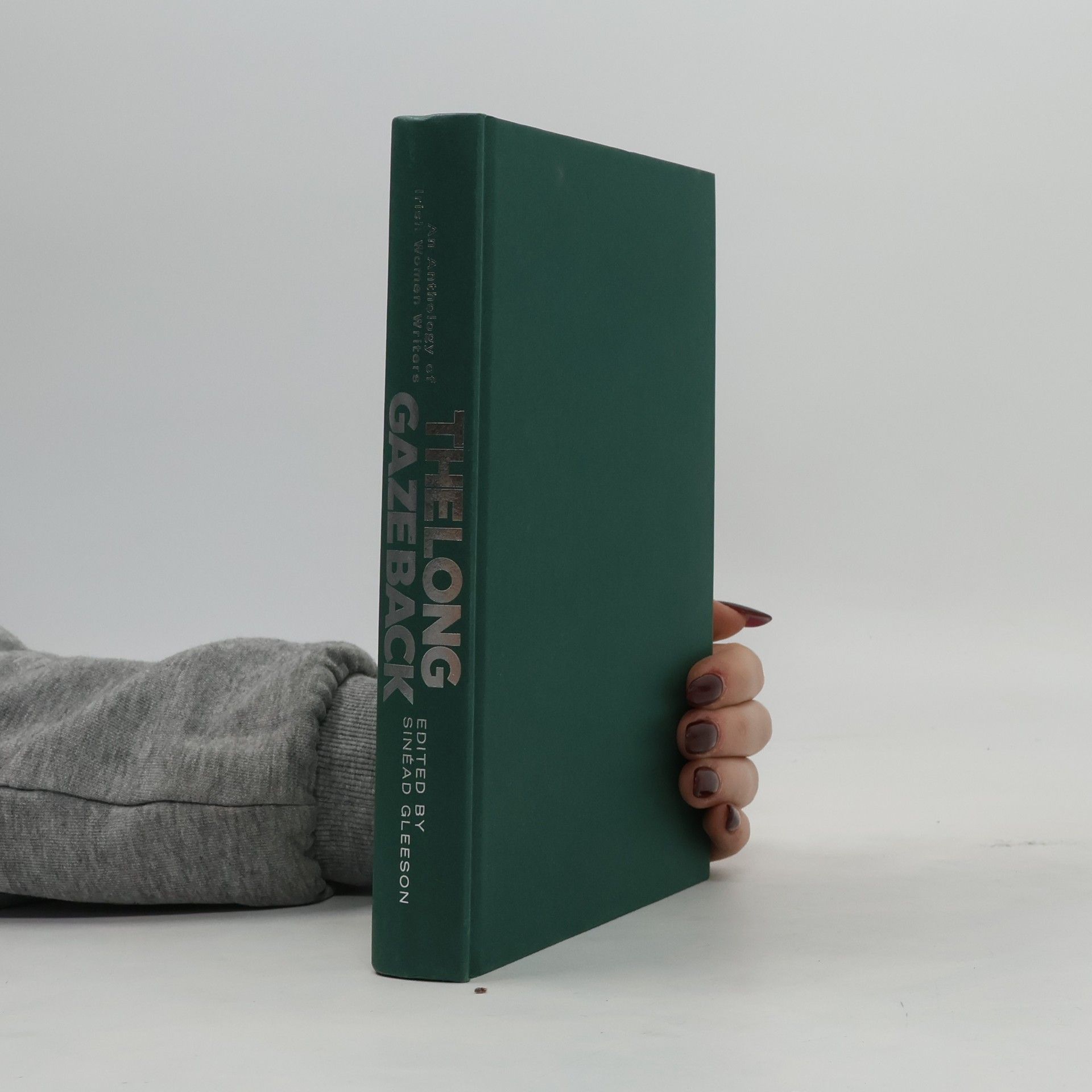 Sinéad Gleeson The Long Gaze Back. An Anthology of Irish Women Writers