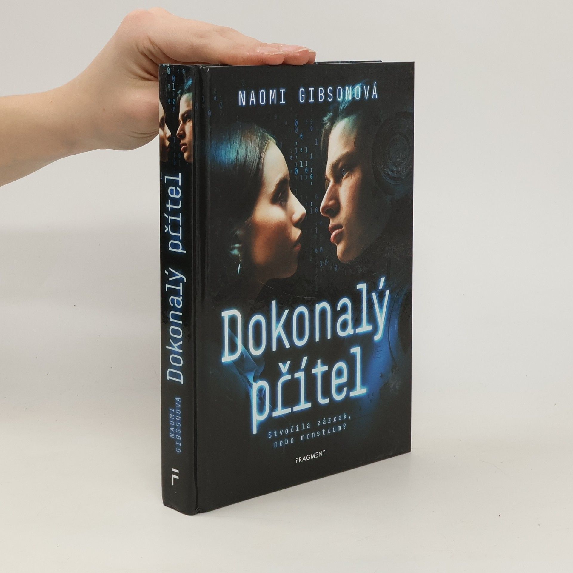 Naomi Gibson Dokonalý přítel