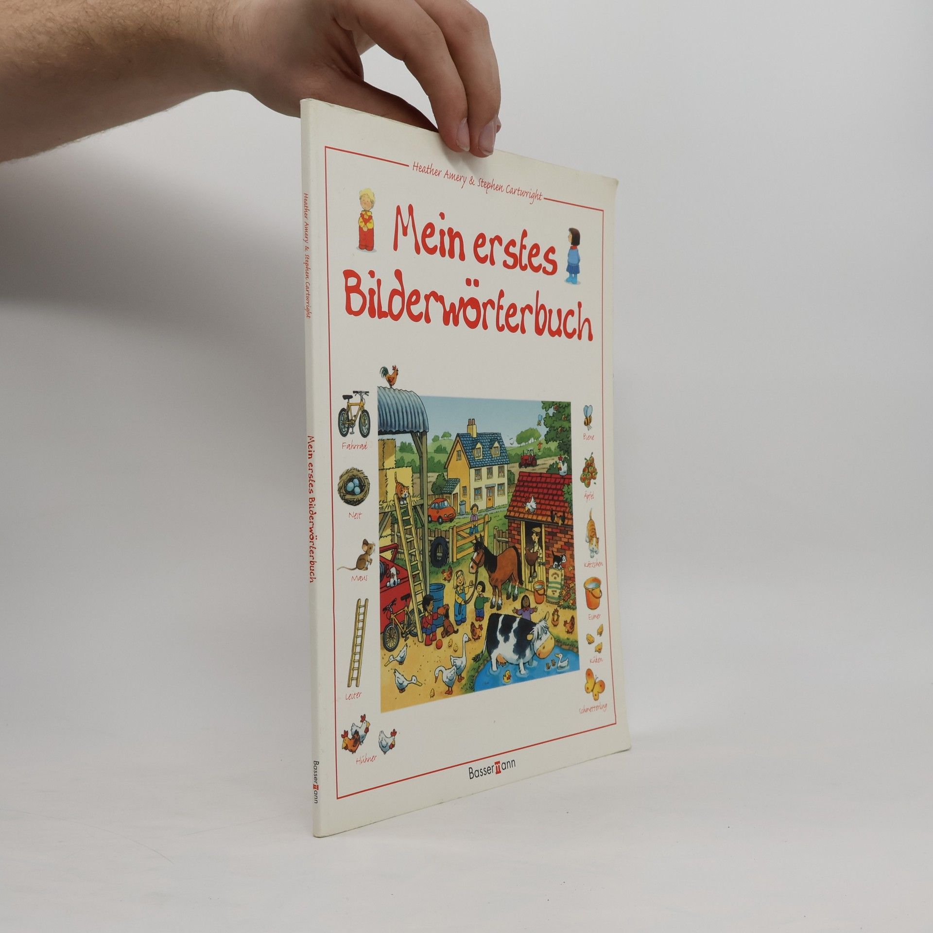Heather Amery Mein erstes Bilderwörterbuch