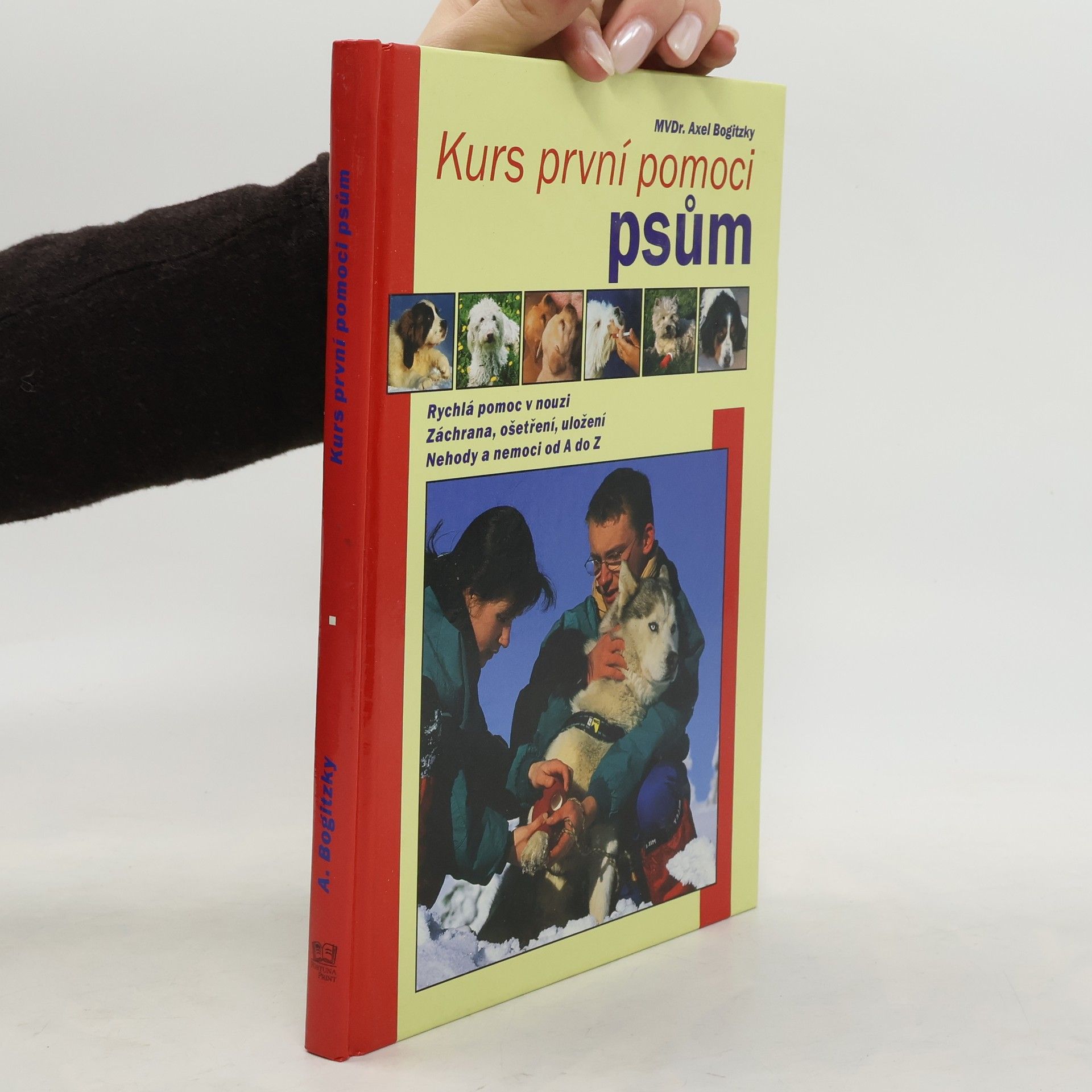 Axel Bogitzky Kurs první pomoci psům