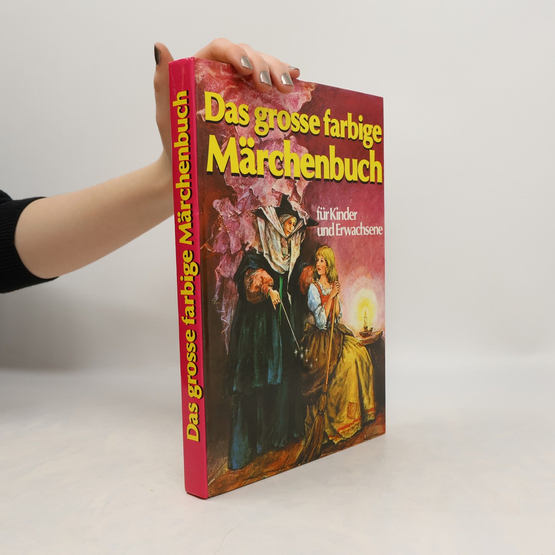 Autorenkollektiv Das grosse farbige Märchenbuch für Kinder und Erwachsene