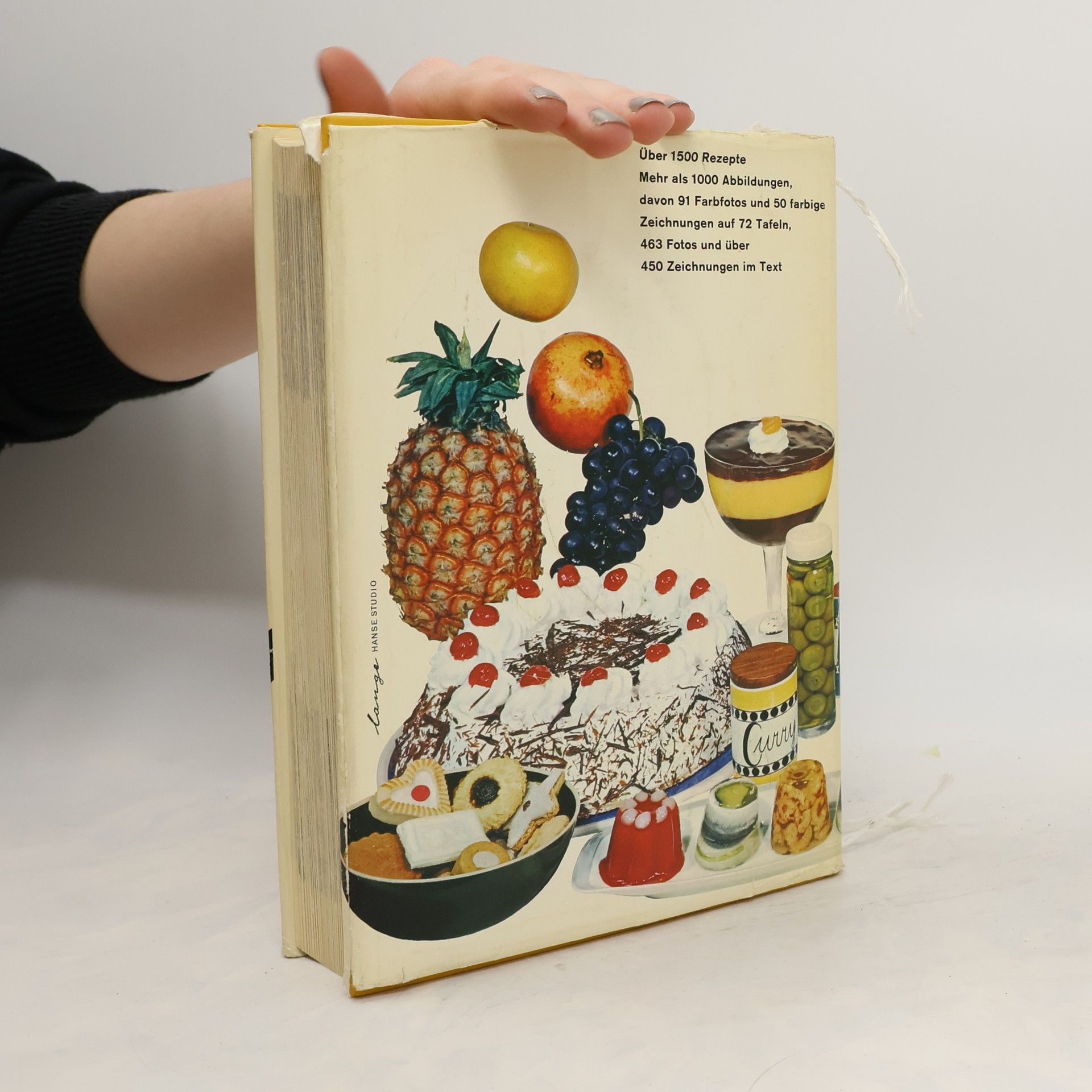 Roland Gööck Das neue große Kochbuch
