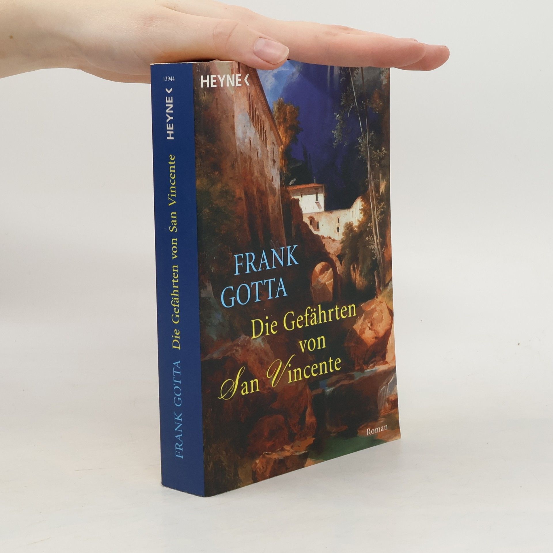 Frank Gotta Die Gefährten von San Vincente