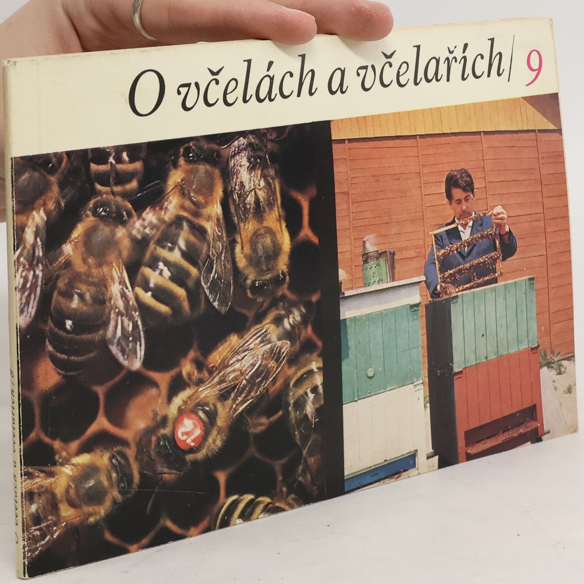 Collective O včelách a včelařích 9