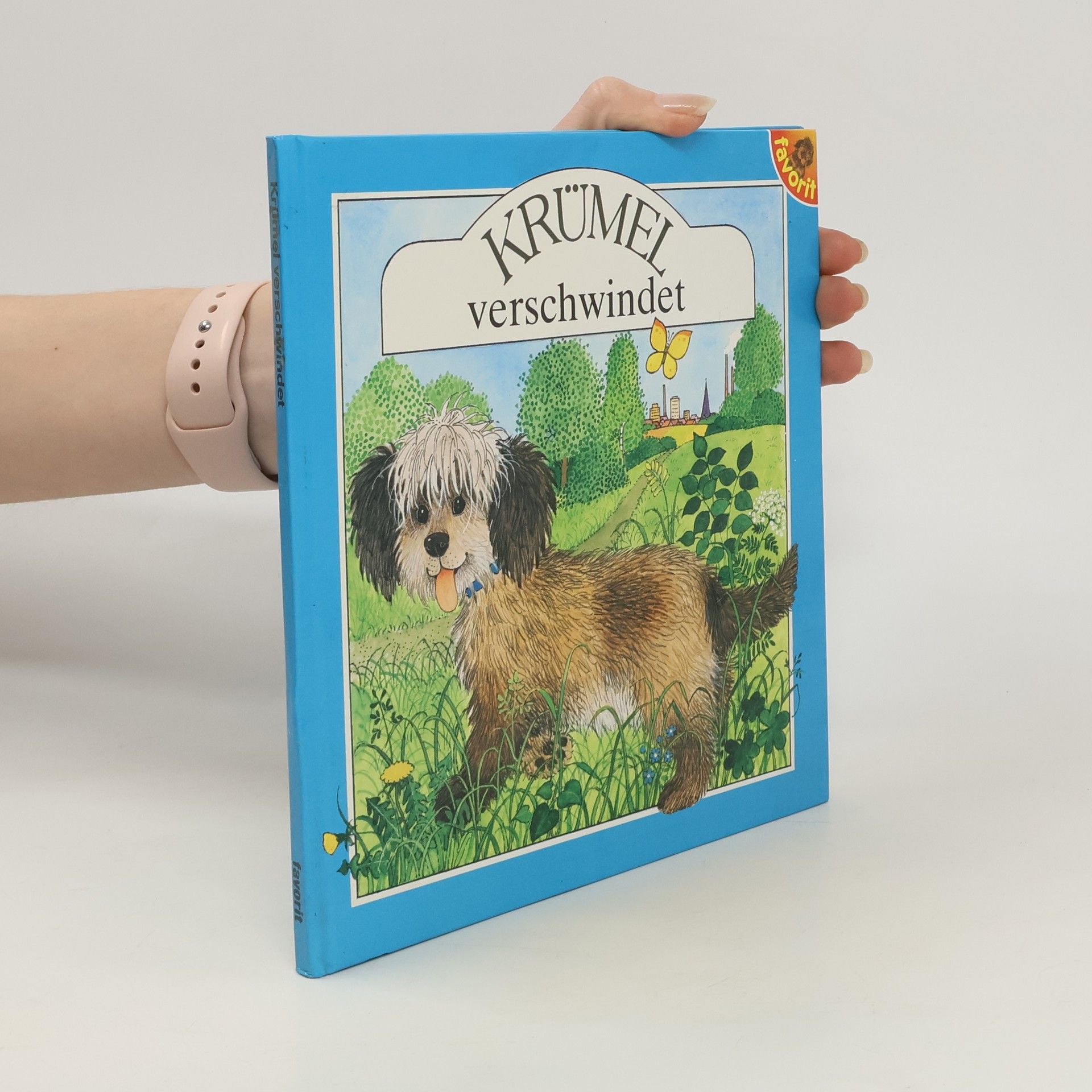 Hildrun Covi Krümel verschwindet