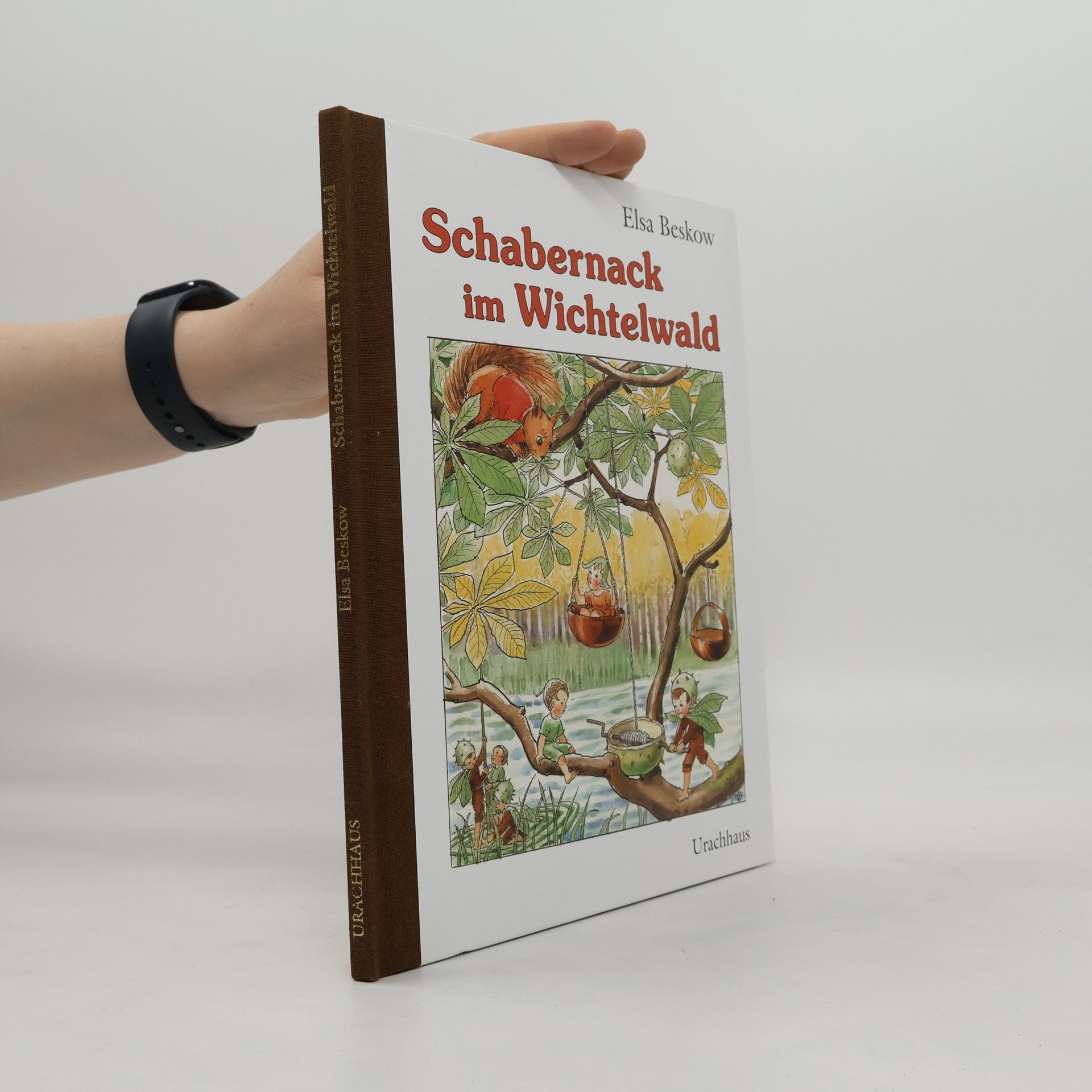 Elsa Beskow Schabernack im Wichtelwald