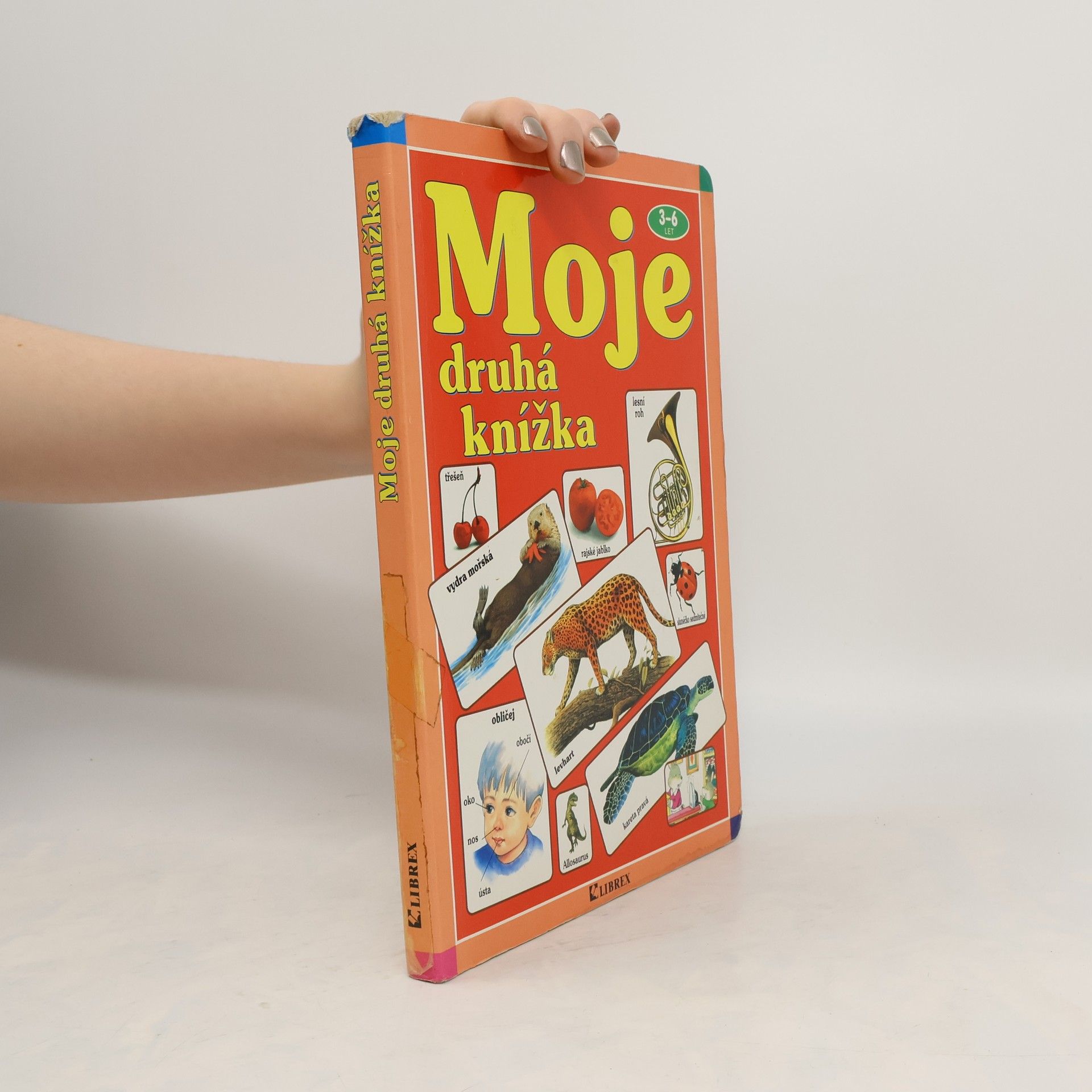 Collective Moje druhá knížka