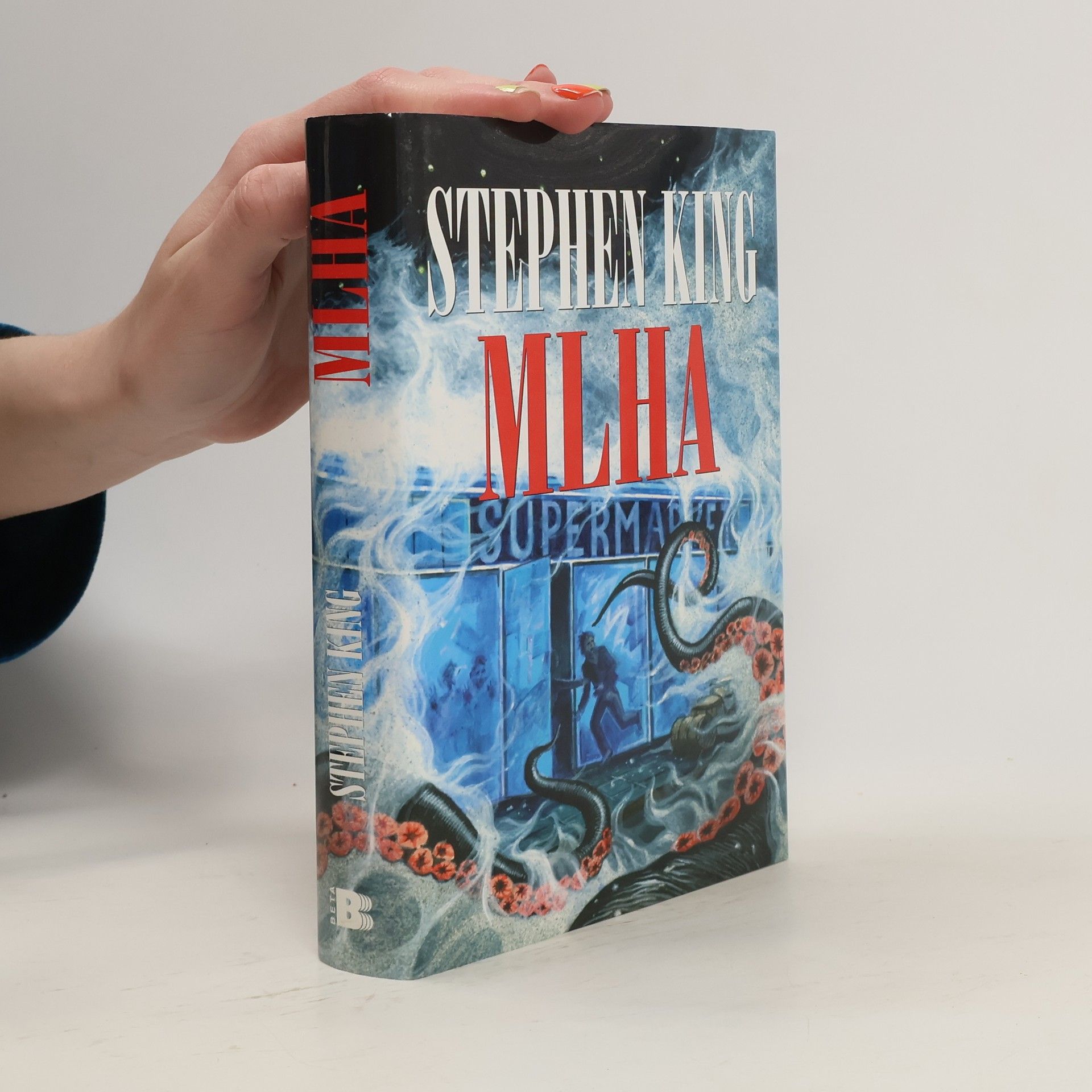 Stephen King Mlha