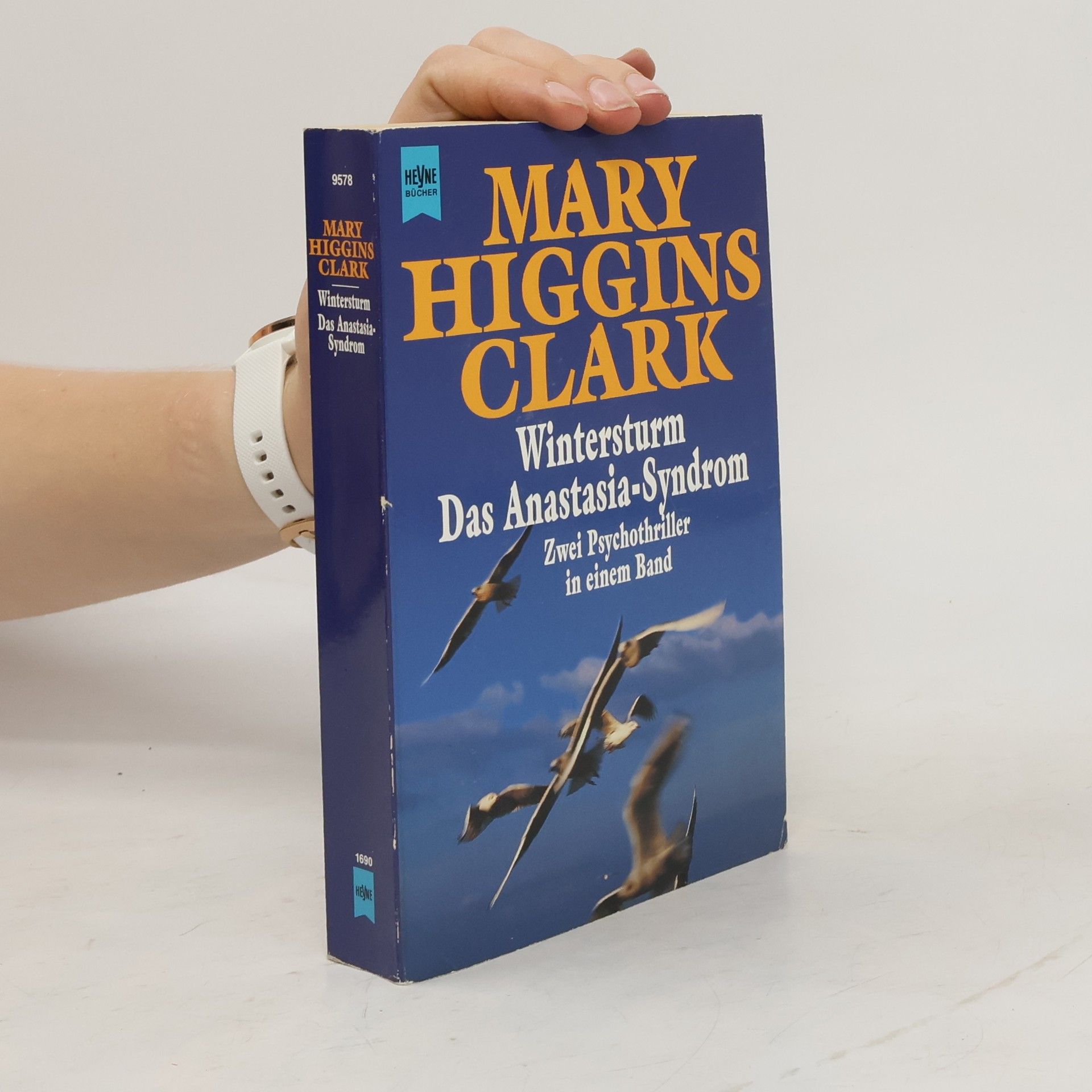 Mary Higgins Clark Wintersturm / Das Anastasia-Syndrom.