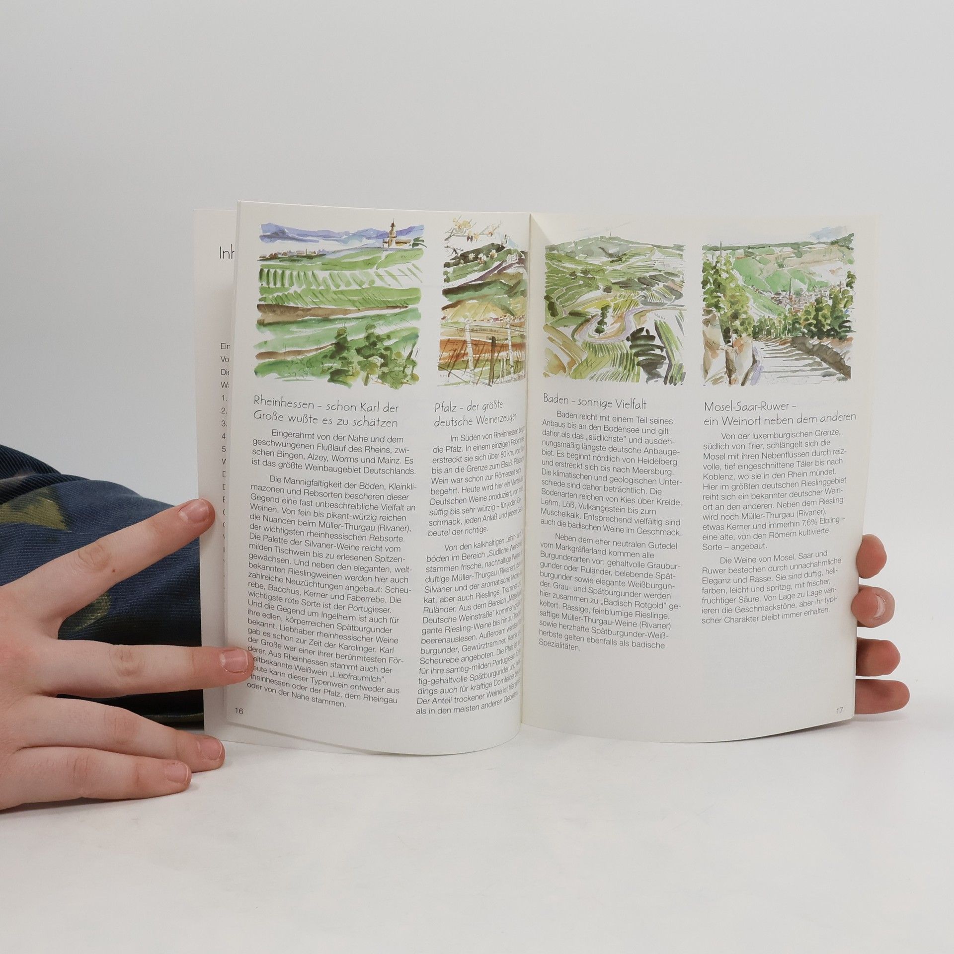 kolektiv Deutsche Weine. Ein Lesebuch zum Genießen