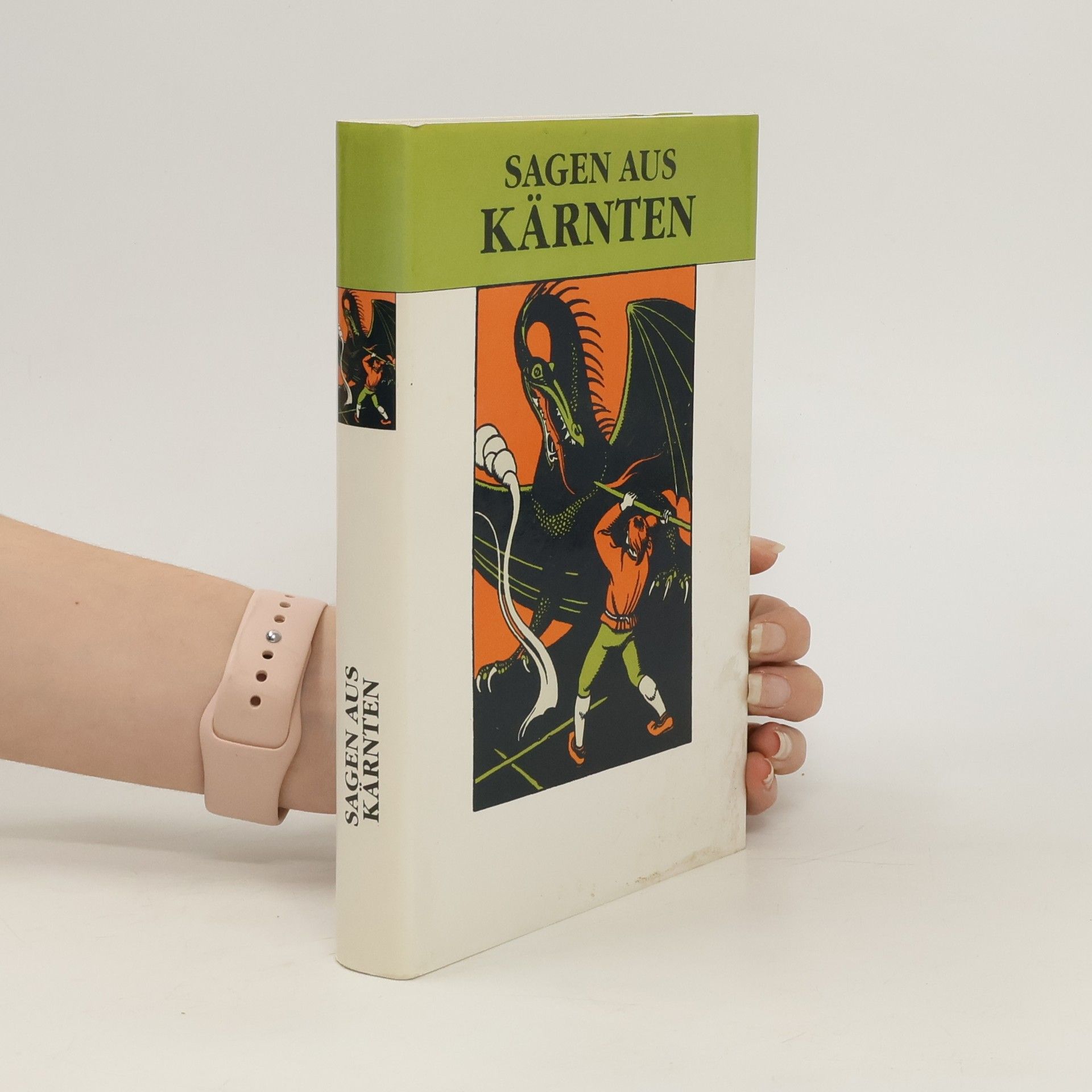 Autores varios Sagen aus Kärnten
