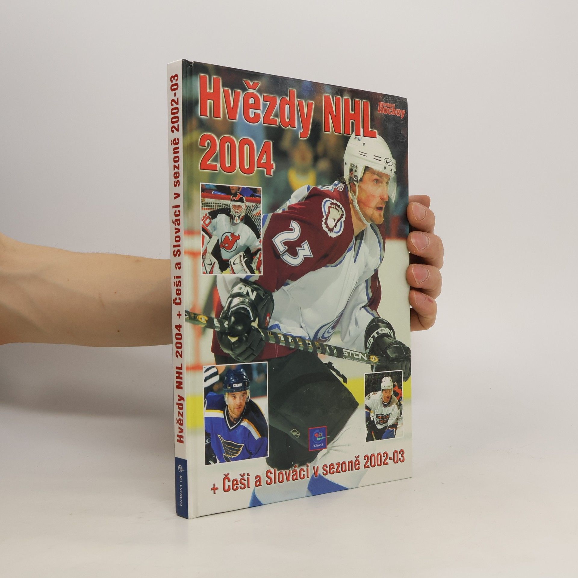 kolektiv Hvězdy NHL 2004