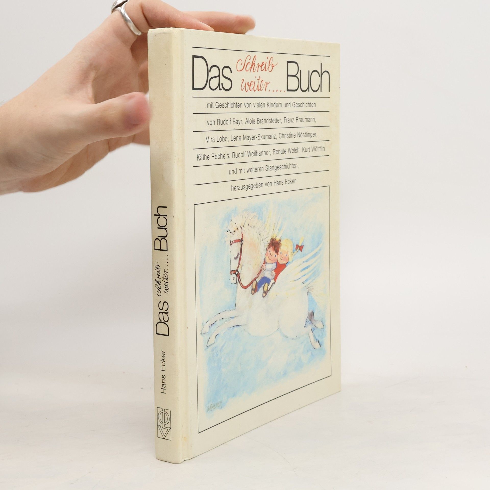 Rudolf Bayr Das Schreib weiter...-Buch