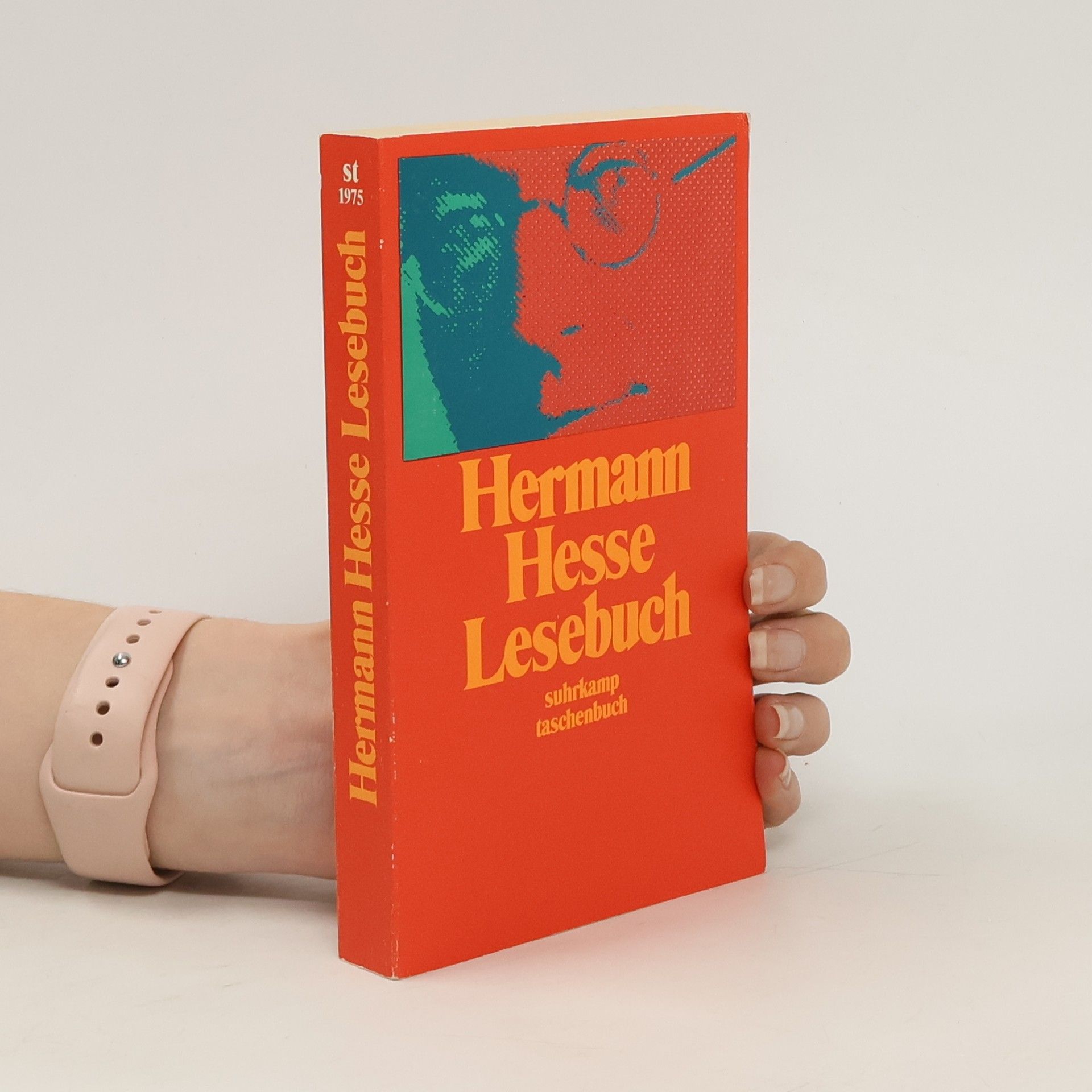 Hermann Hesse Lesebuch