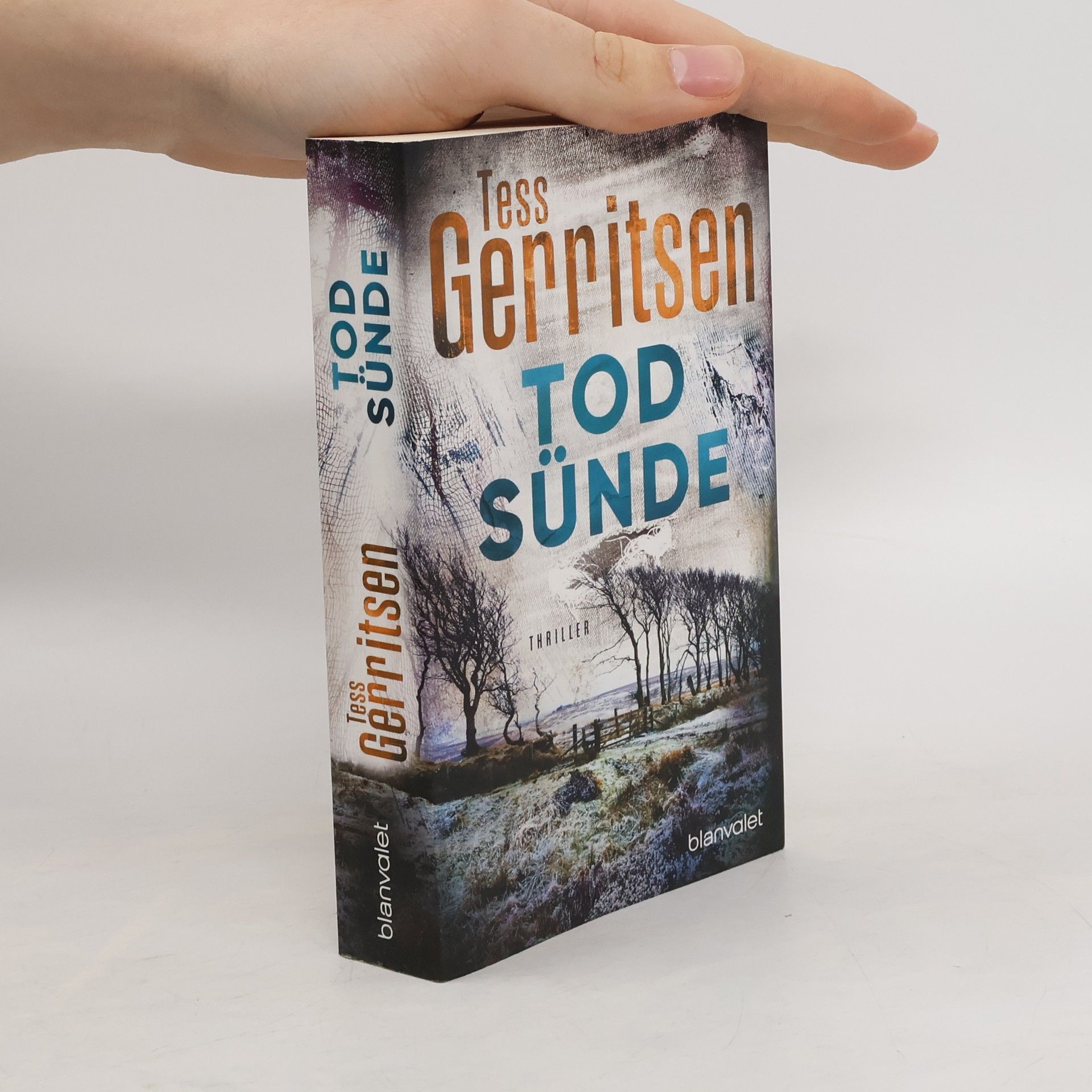 Tess Gerritsen Tod Sünde