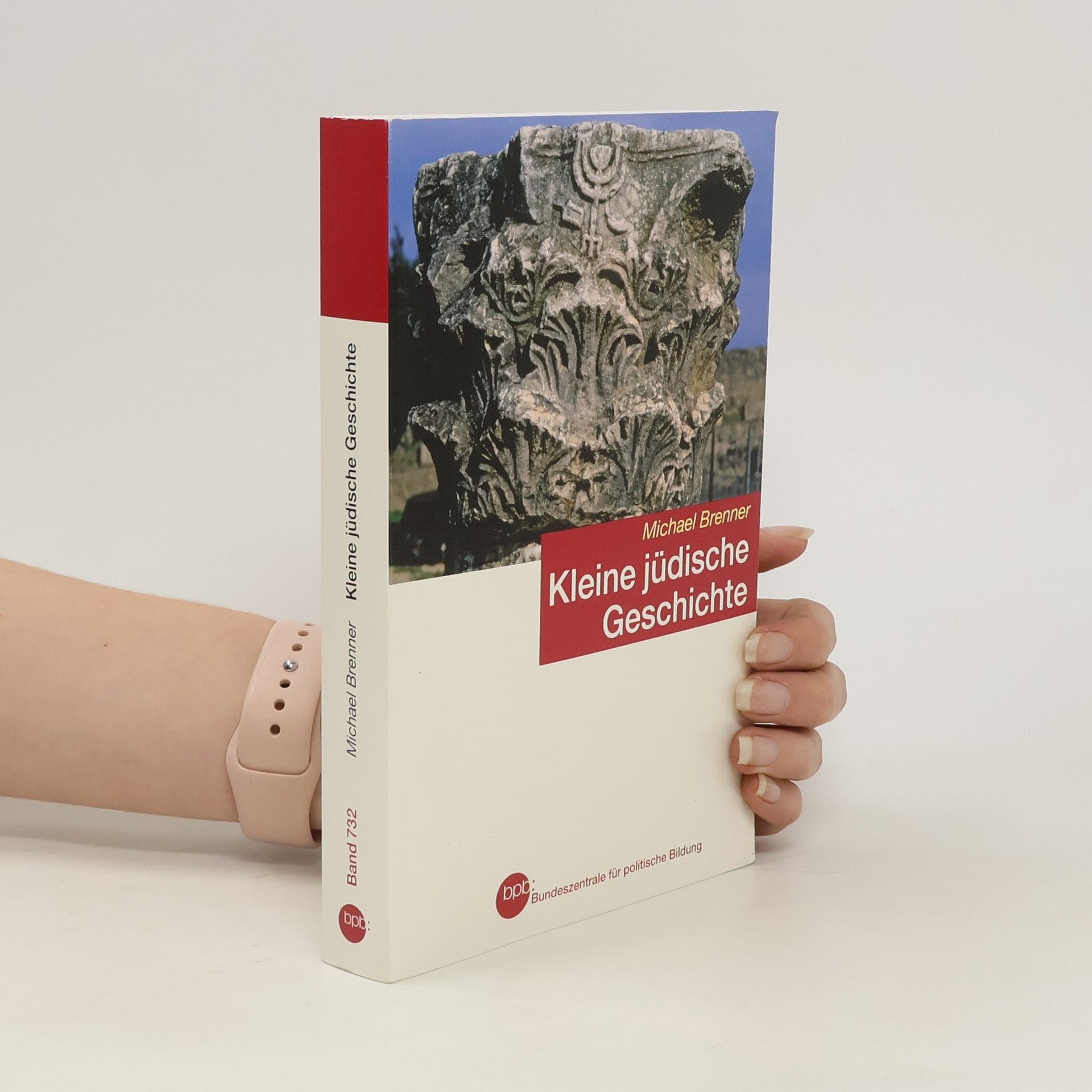 Michael A. Meyer Kleine jüdische Geschichte
