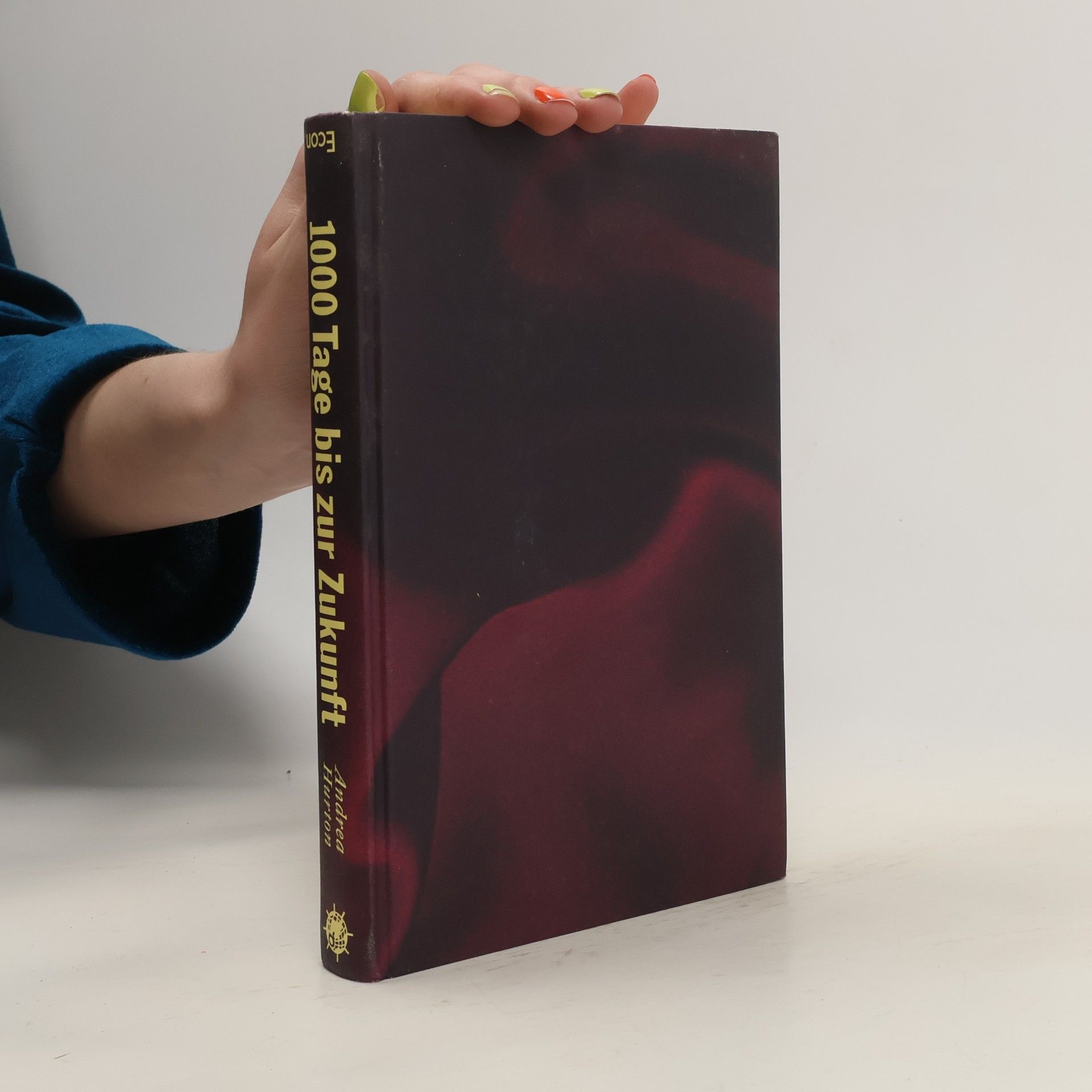 Andrea Hurton 1000 Tage bis zur Zukunft