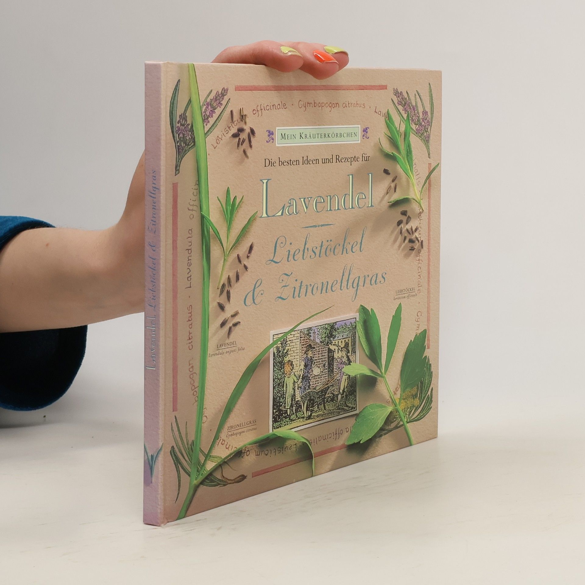 Gloria Nicol Die besten Ideen und Rezepte für Lavendel, Liebstöckel & Zitronellgras