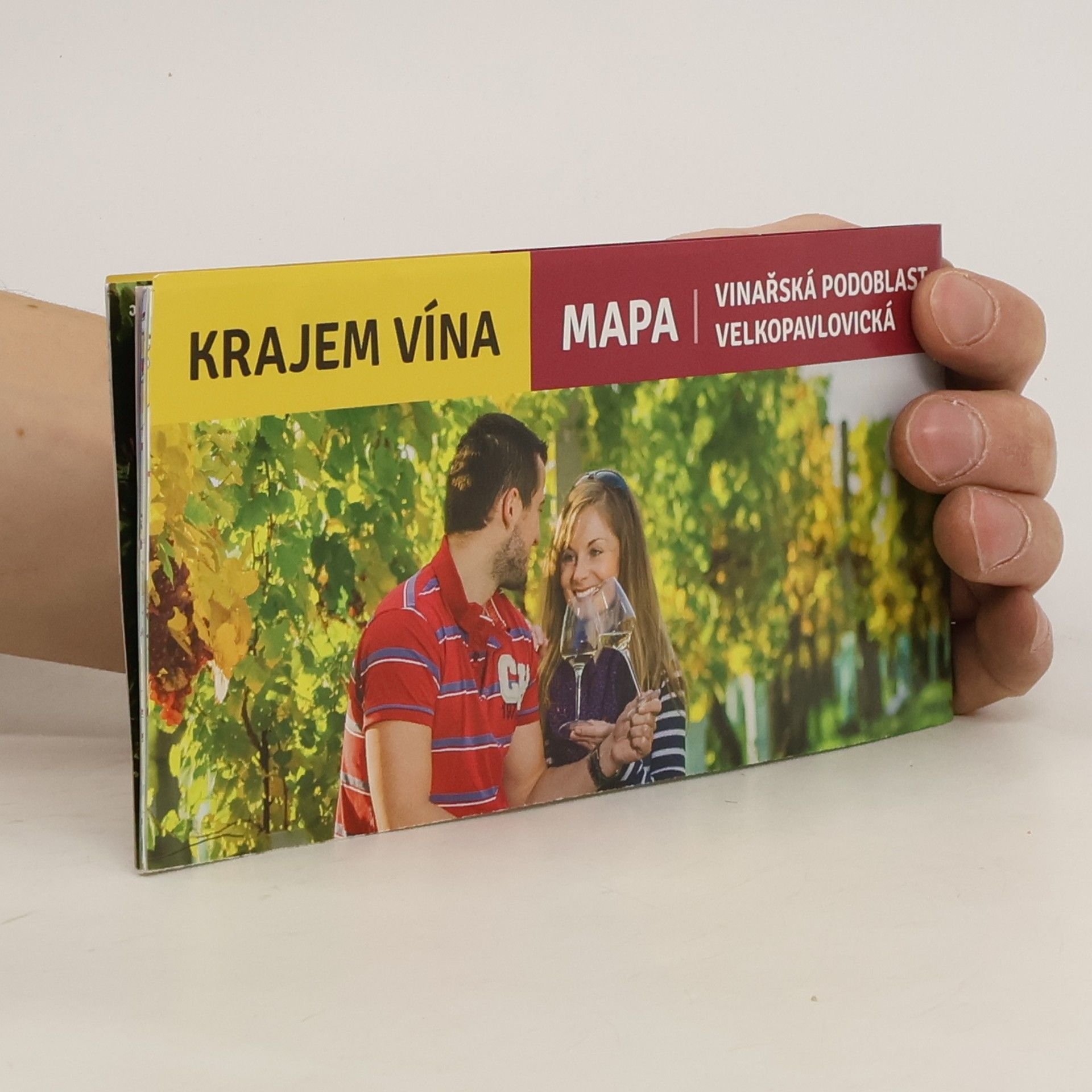 Collectif d'auteurs Krajem vína. Vinařská oblast Morava. Vinařská podoblast velkopavlovická