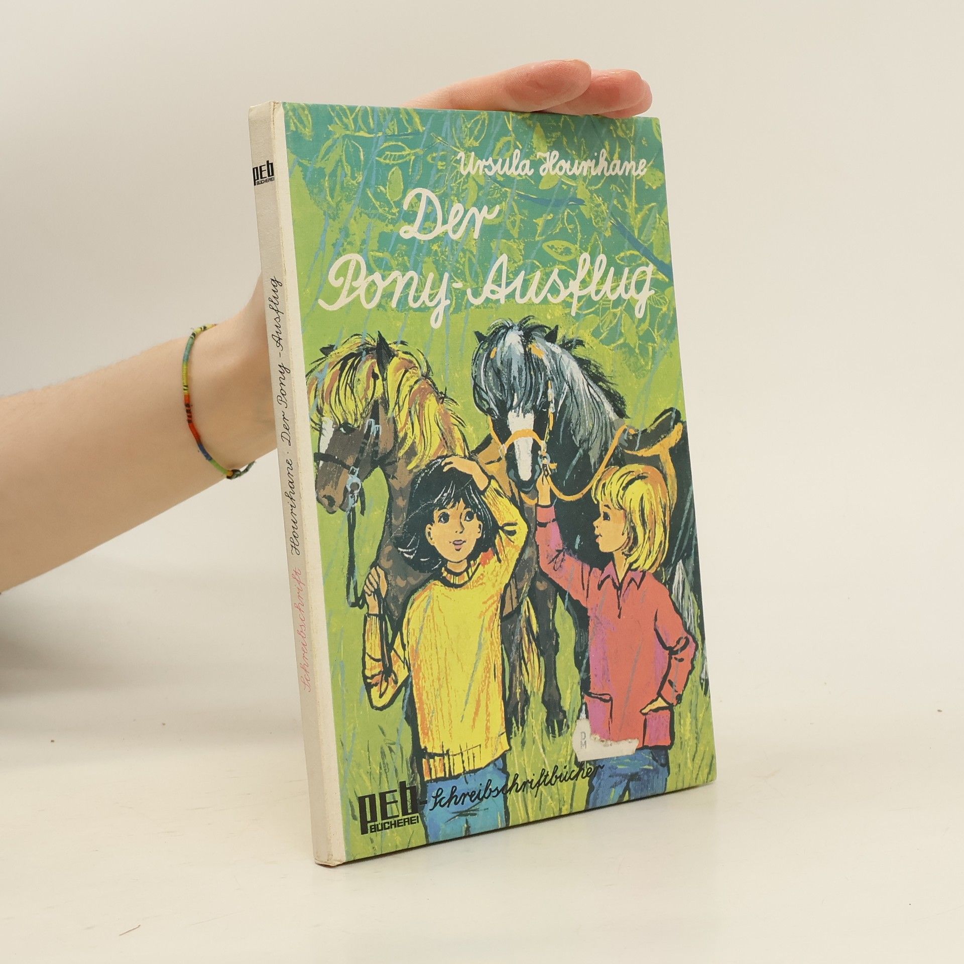 Ursula Hourihane Der Pony-Ausflug